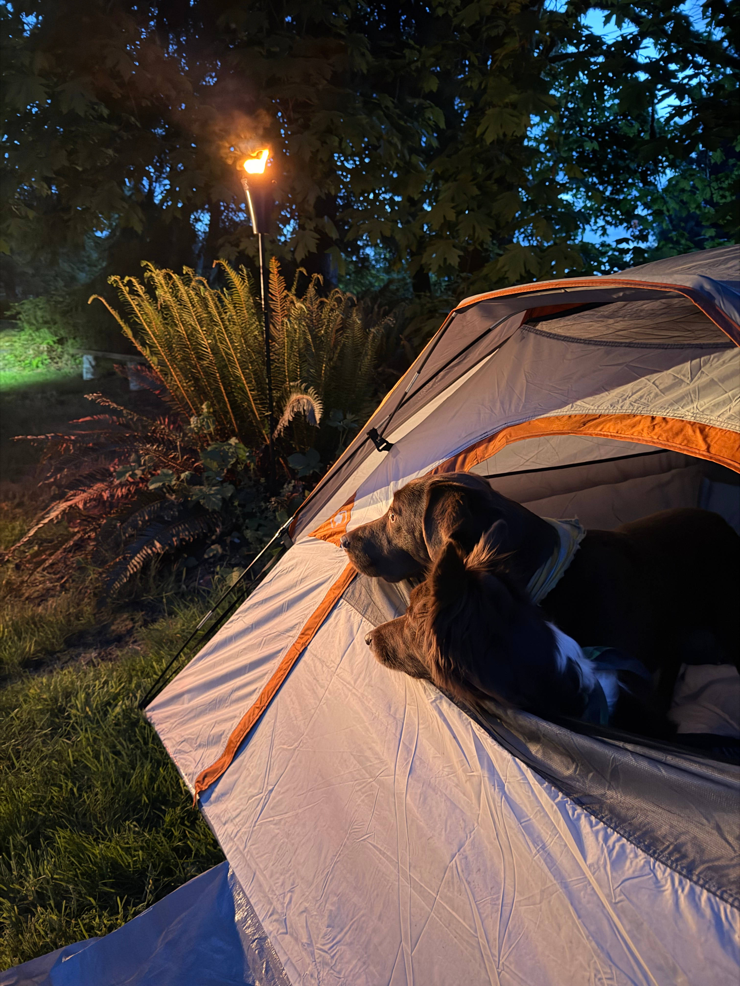 Fly Inn And Camp