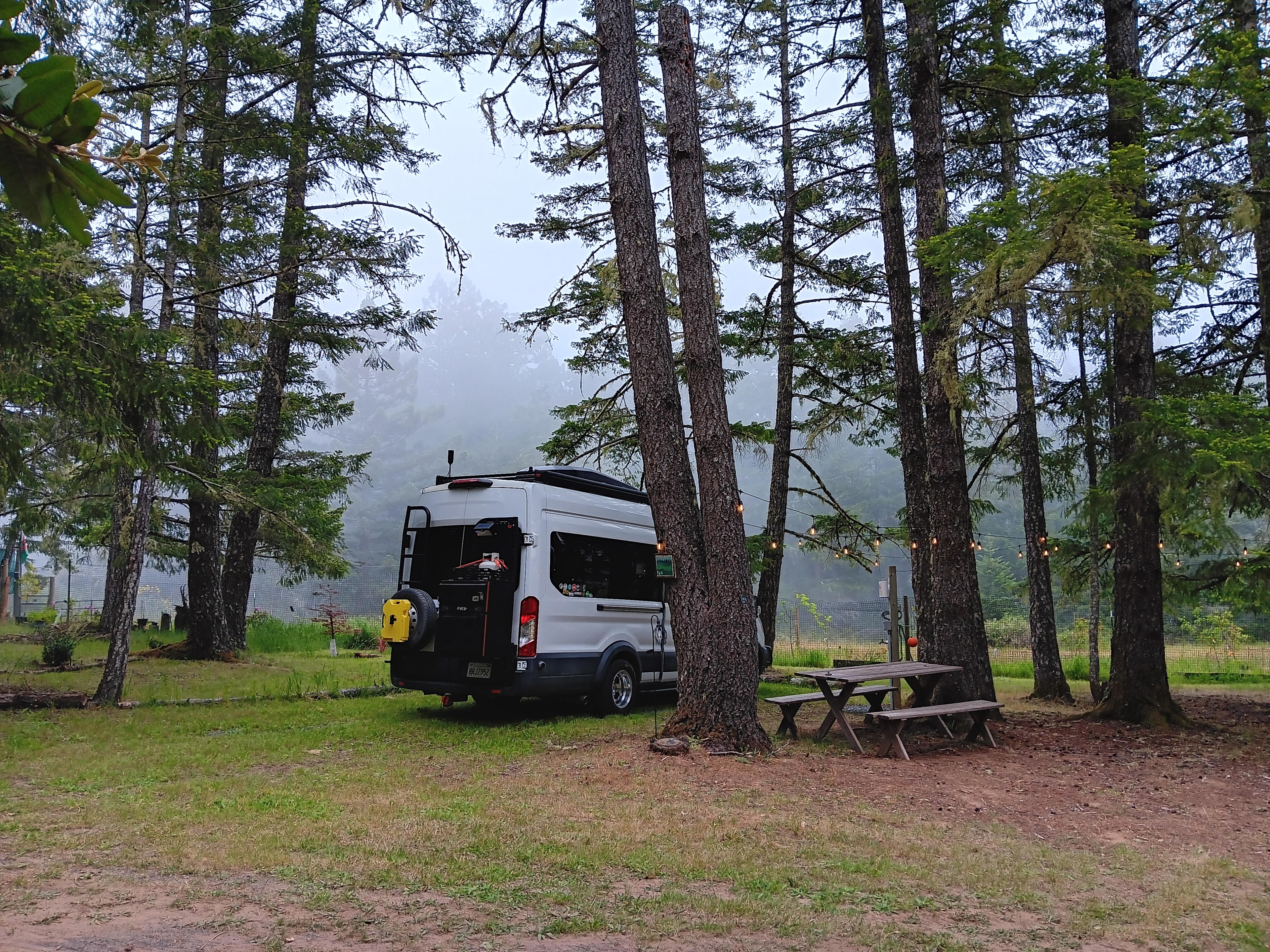 Larkspurs Hollow - Camp & Garden