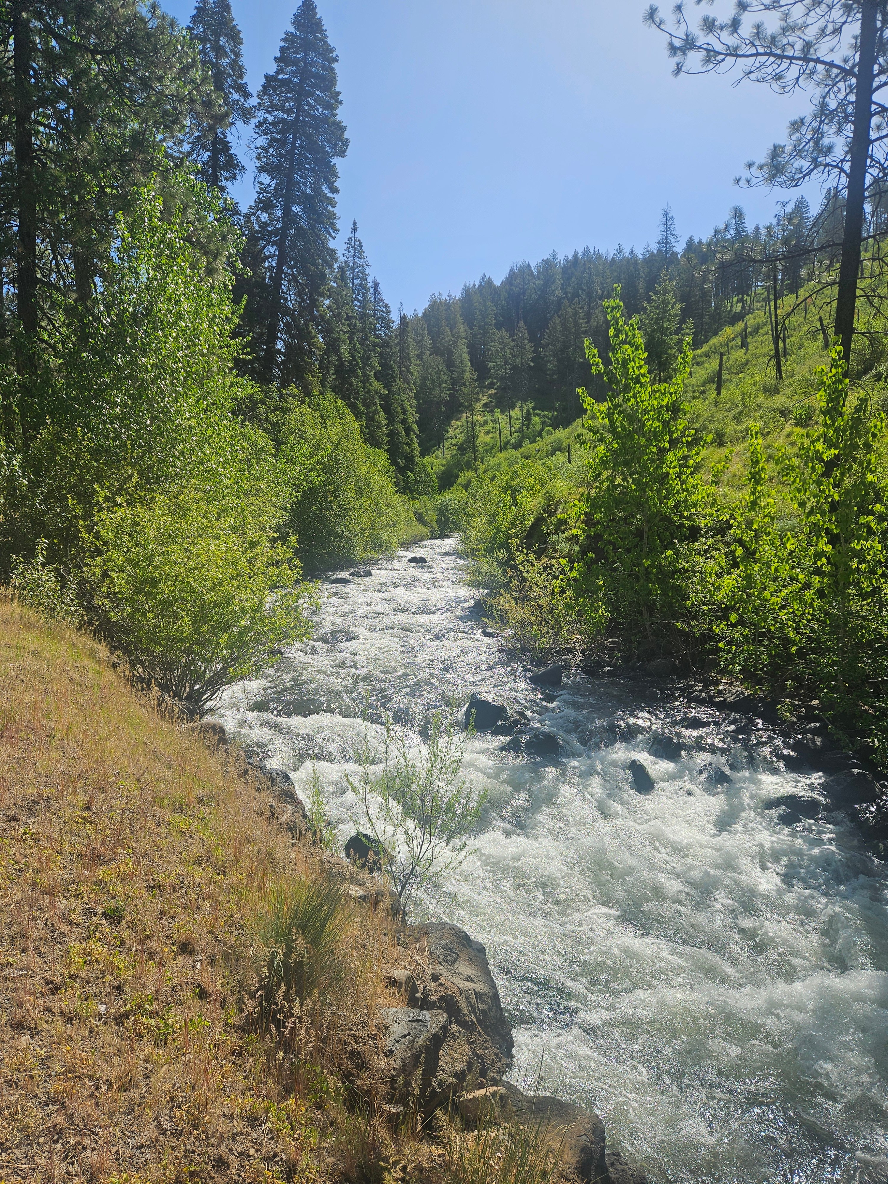 Hiking council mountain about 30 minutes away