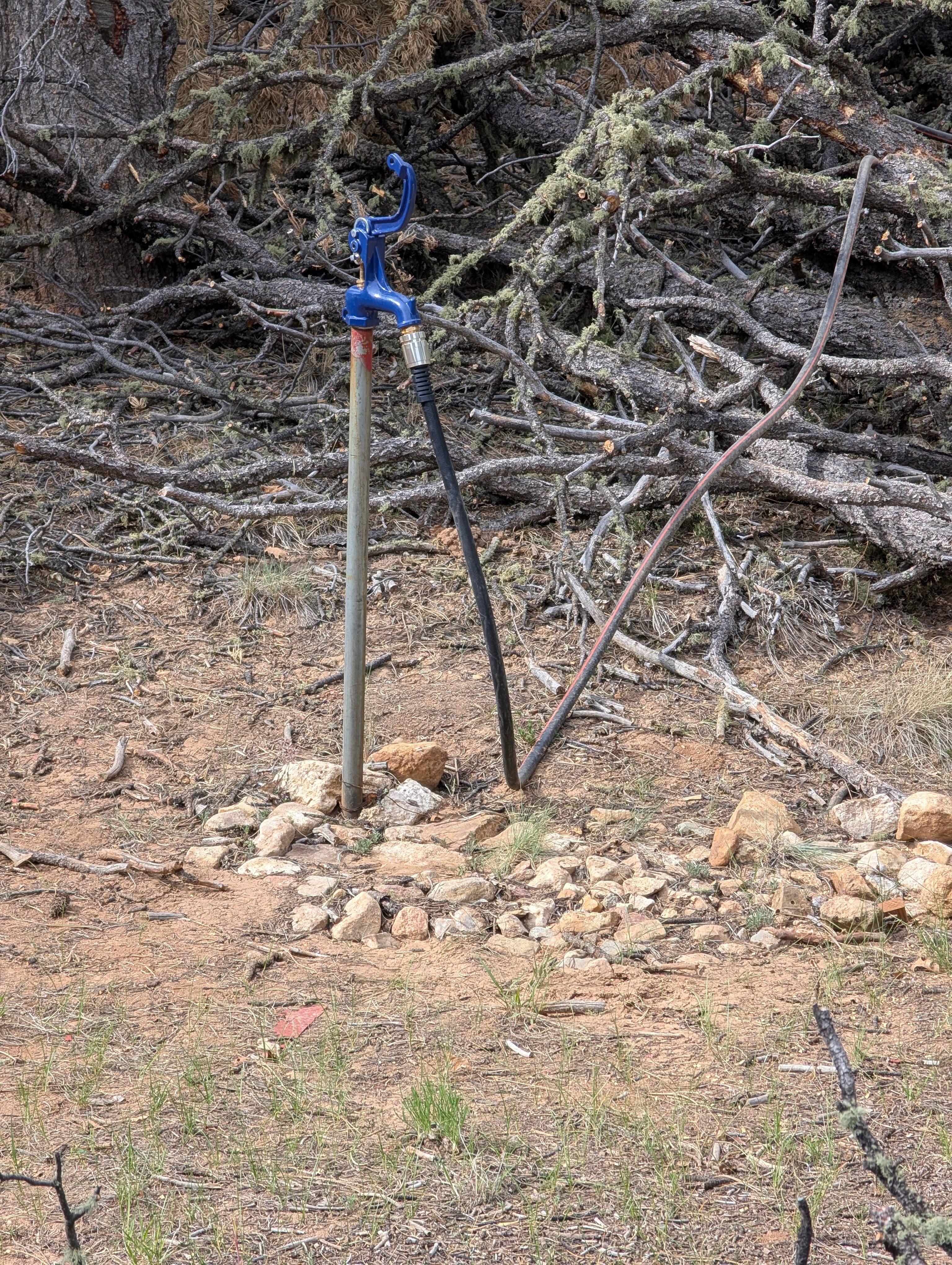 San Pedro Refuge