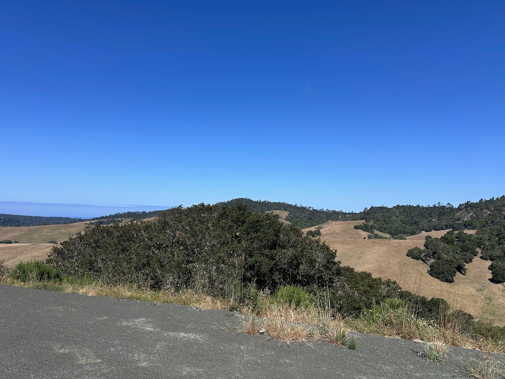 Capall Mara Farms