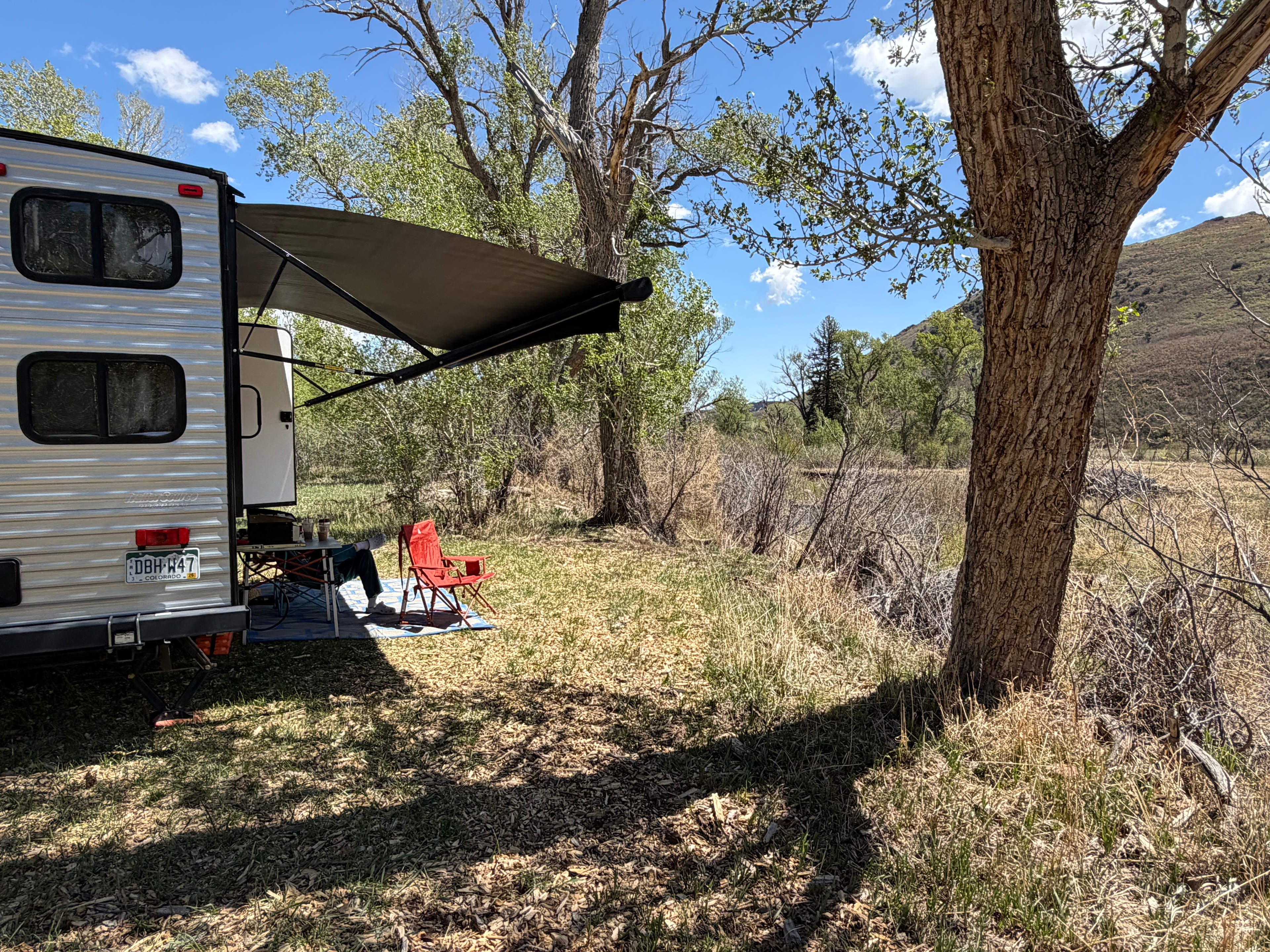 Lone Spruce Camp