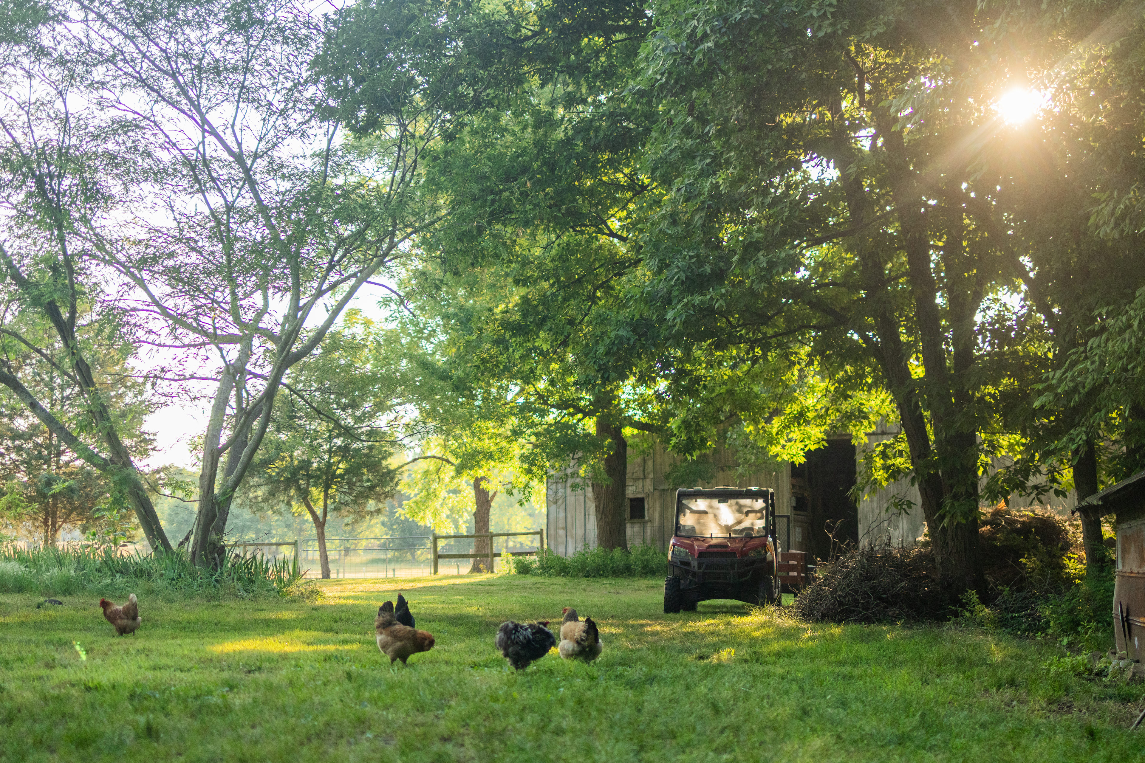 Ancient Spring Farm