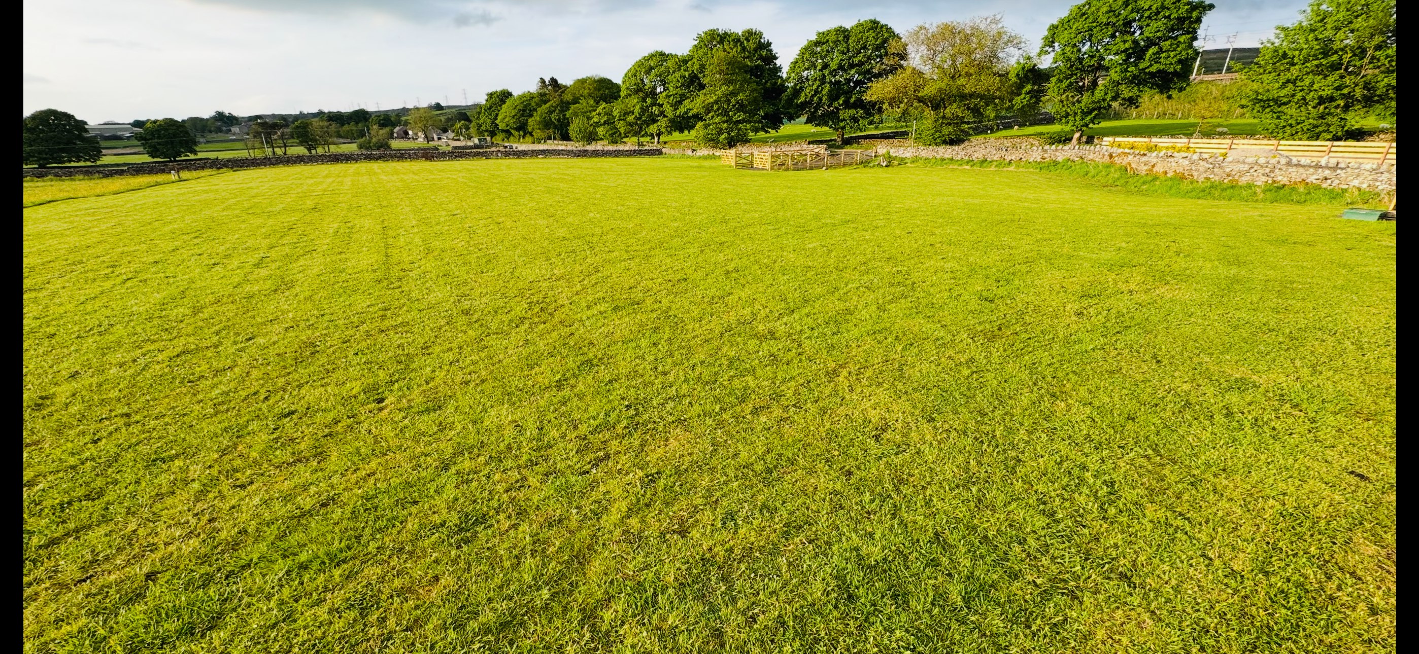 Lea field shap