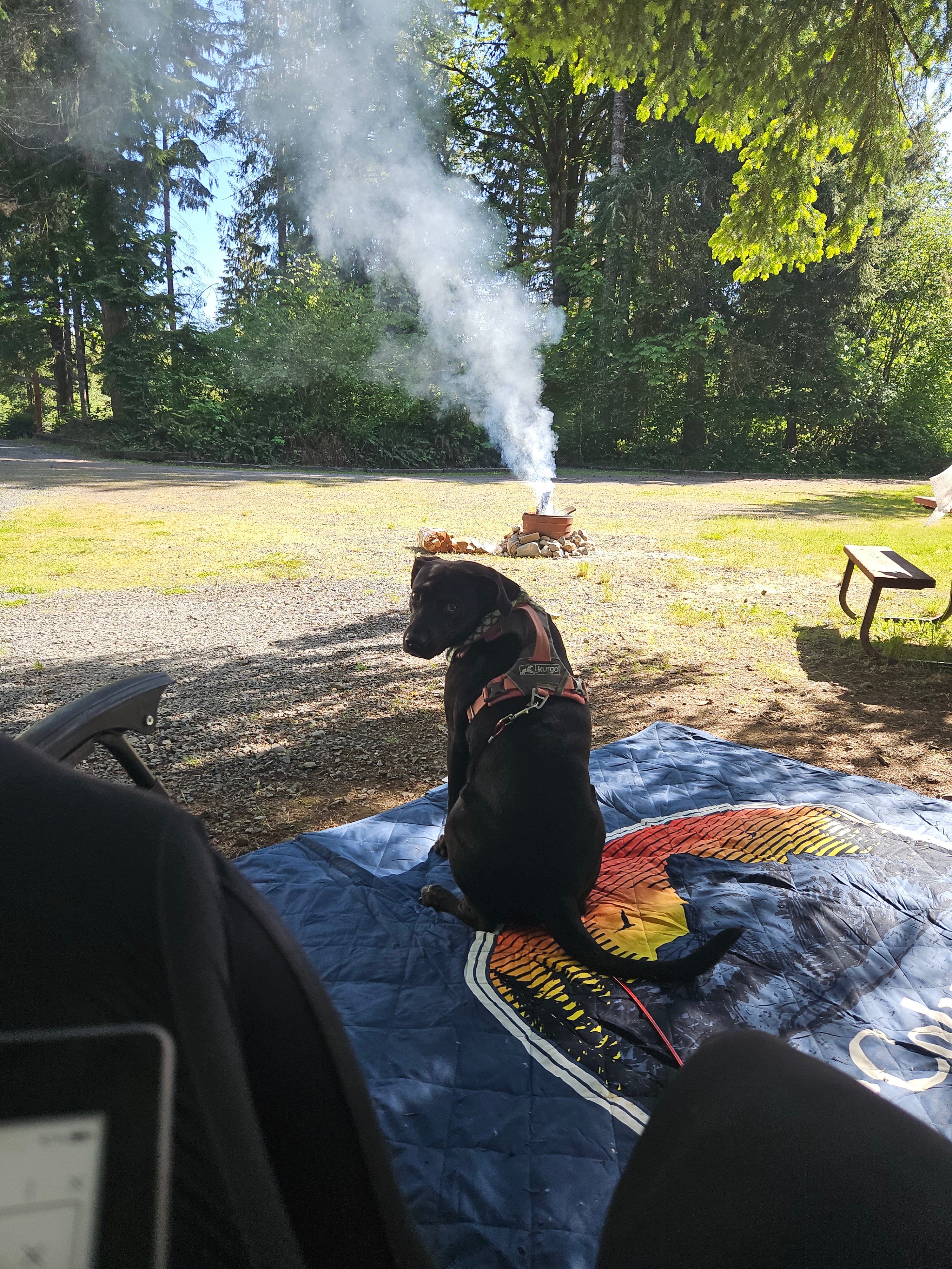 Riverside Camping Near Mt Rainier