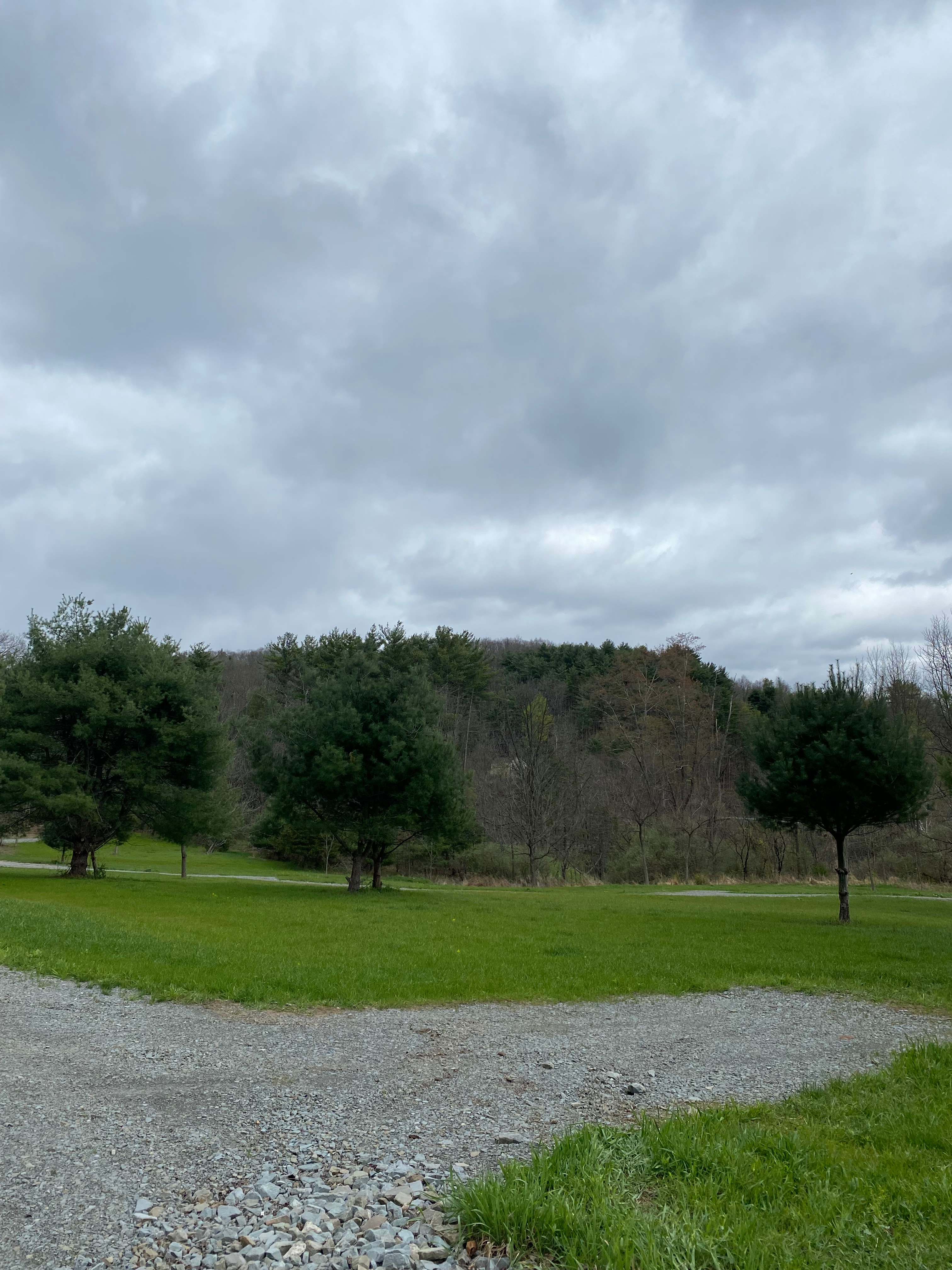 Buffalo Ranch Camping