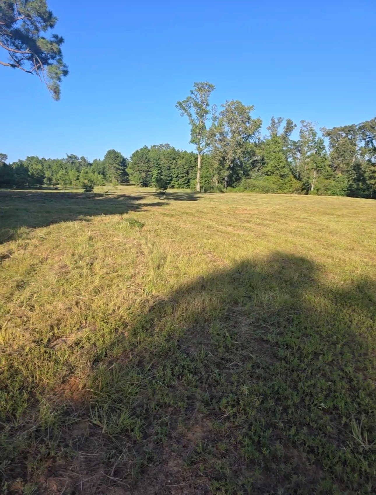 Open Acres at Canopy Ridge