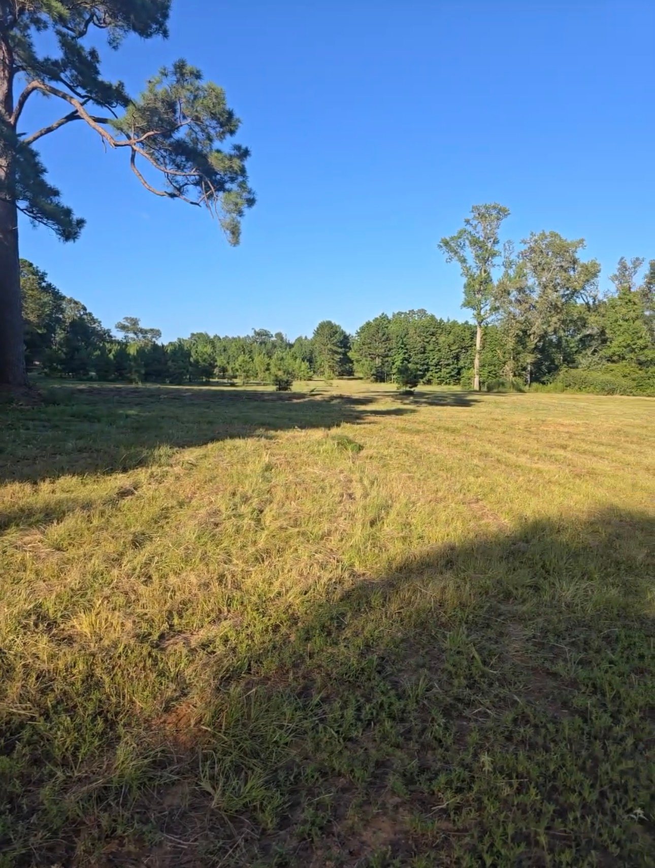 Open Acres at Canopy Ridge