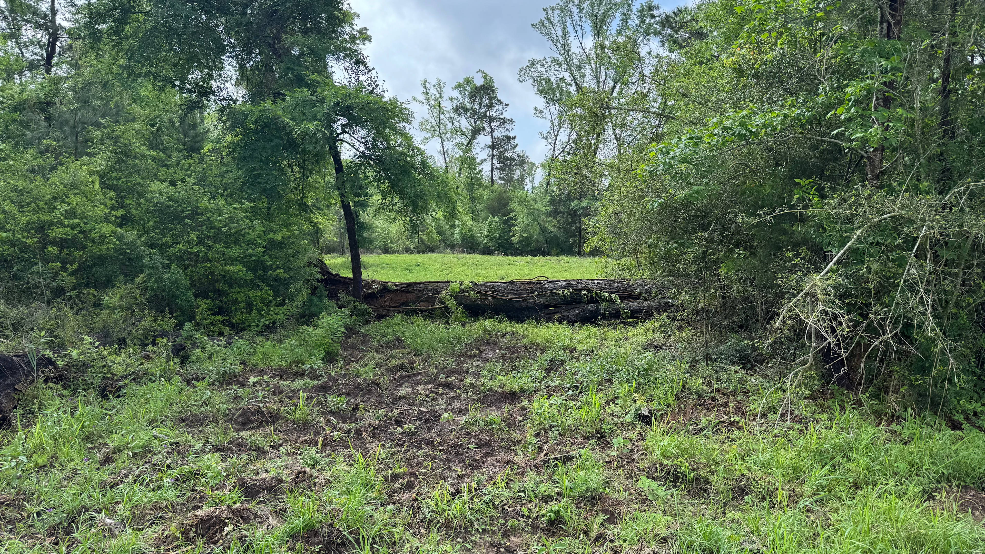 Open Acres at Canopy Ridge
