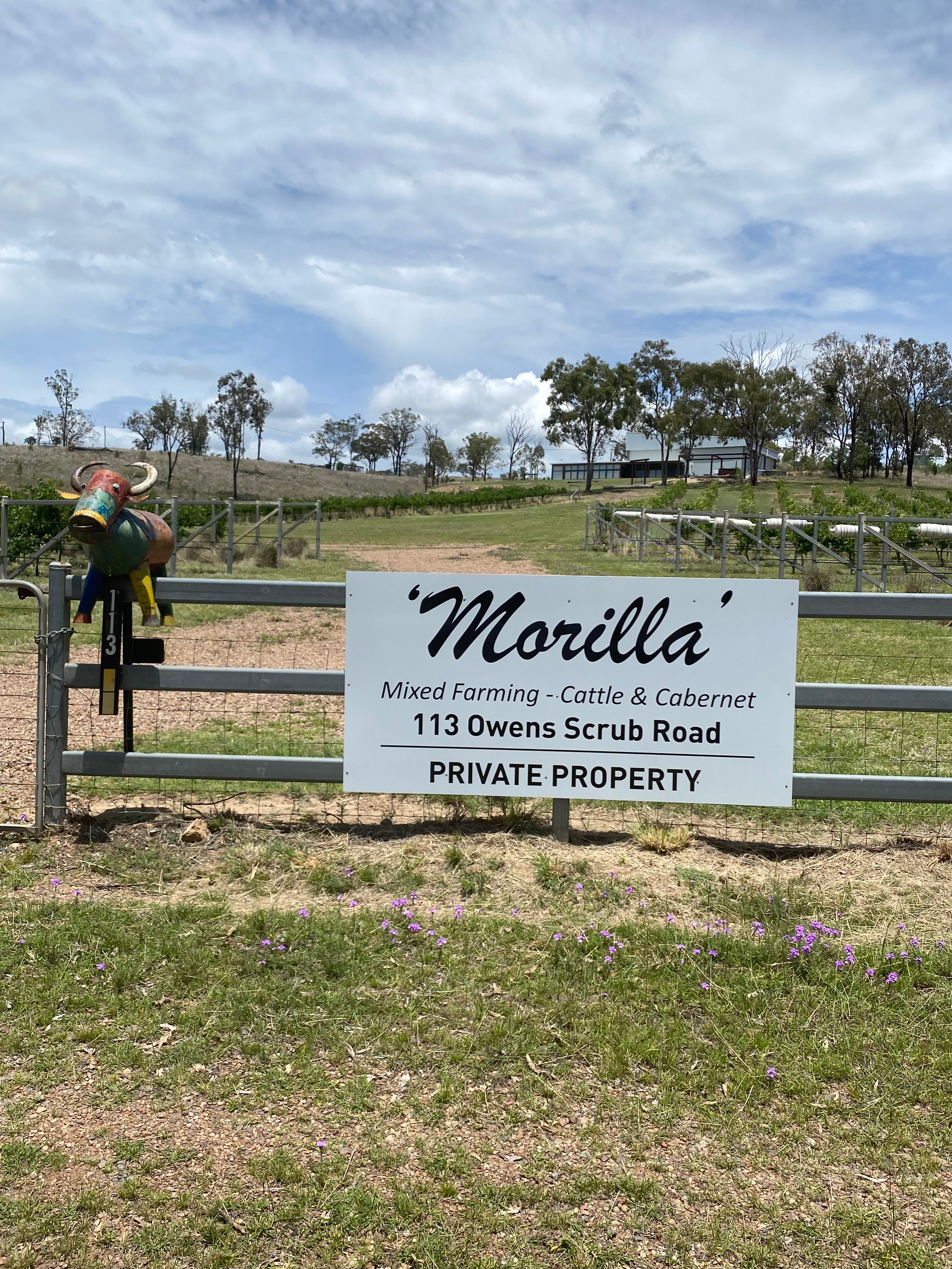 Morilla