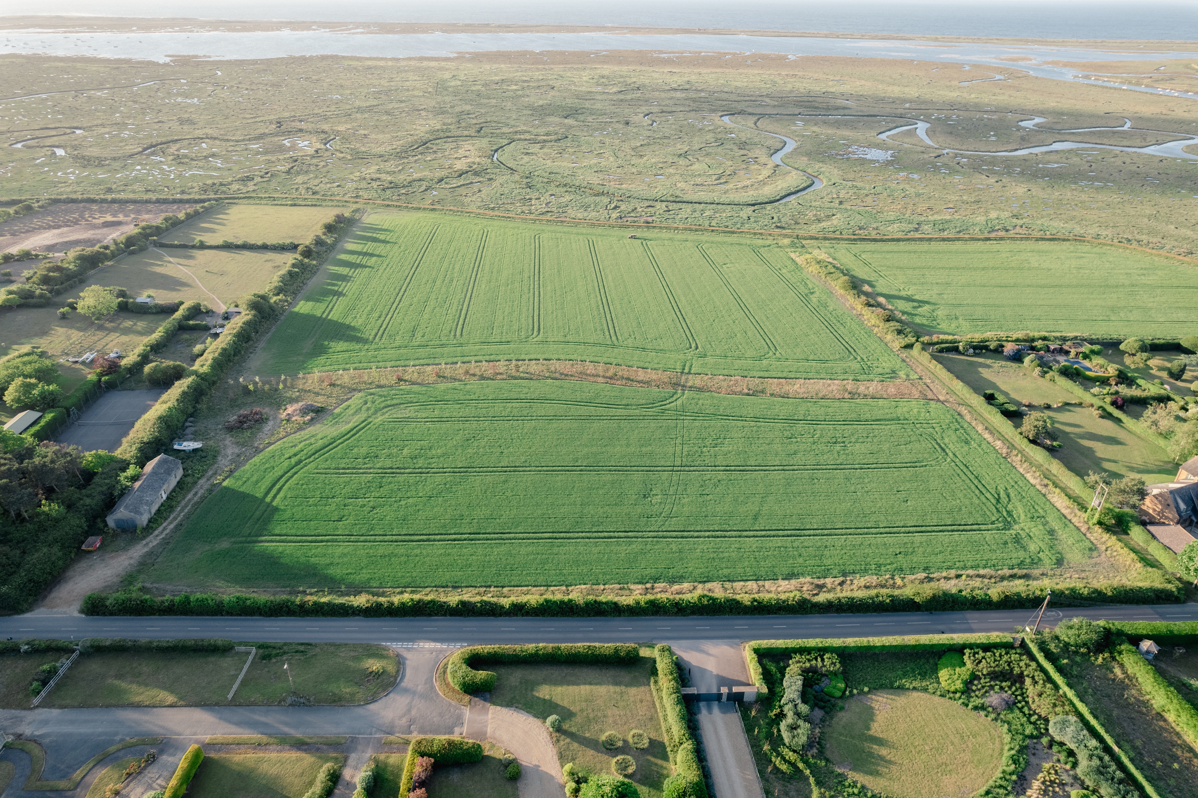 Agar Farm