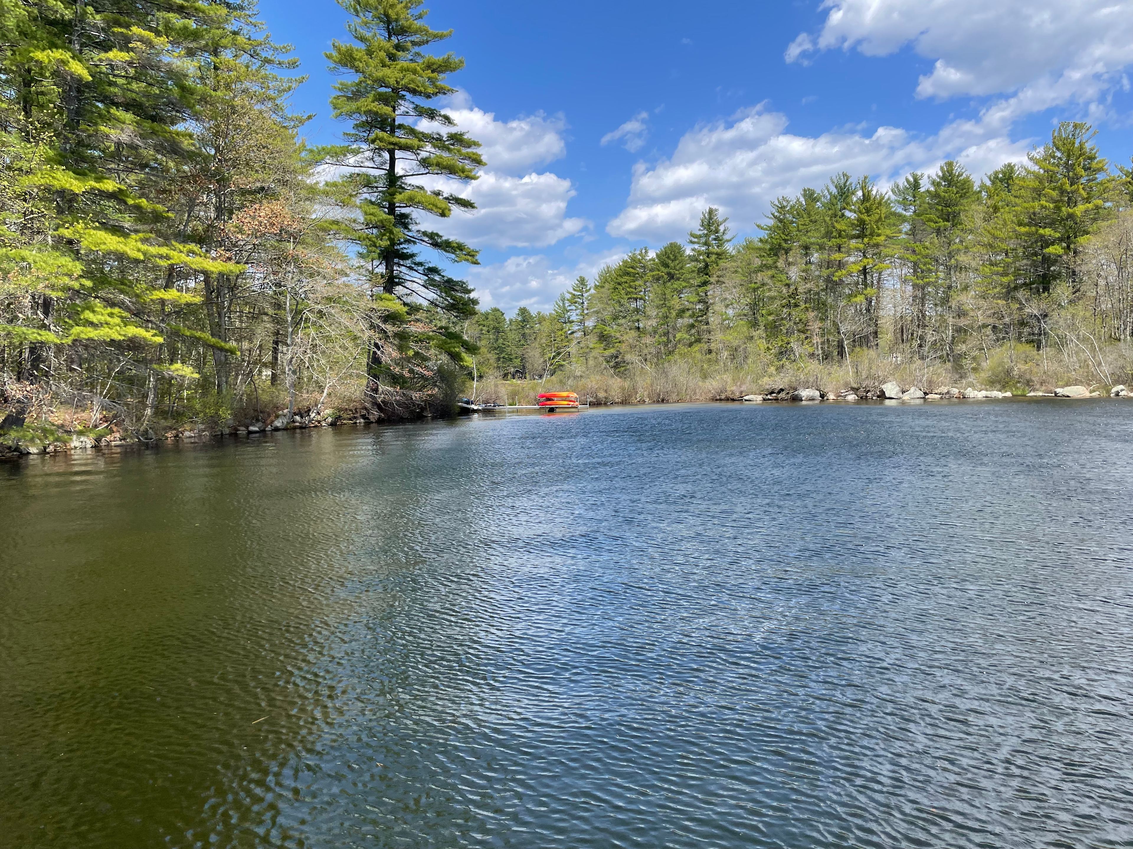 The Queen's Property on Thomas Pond