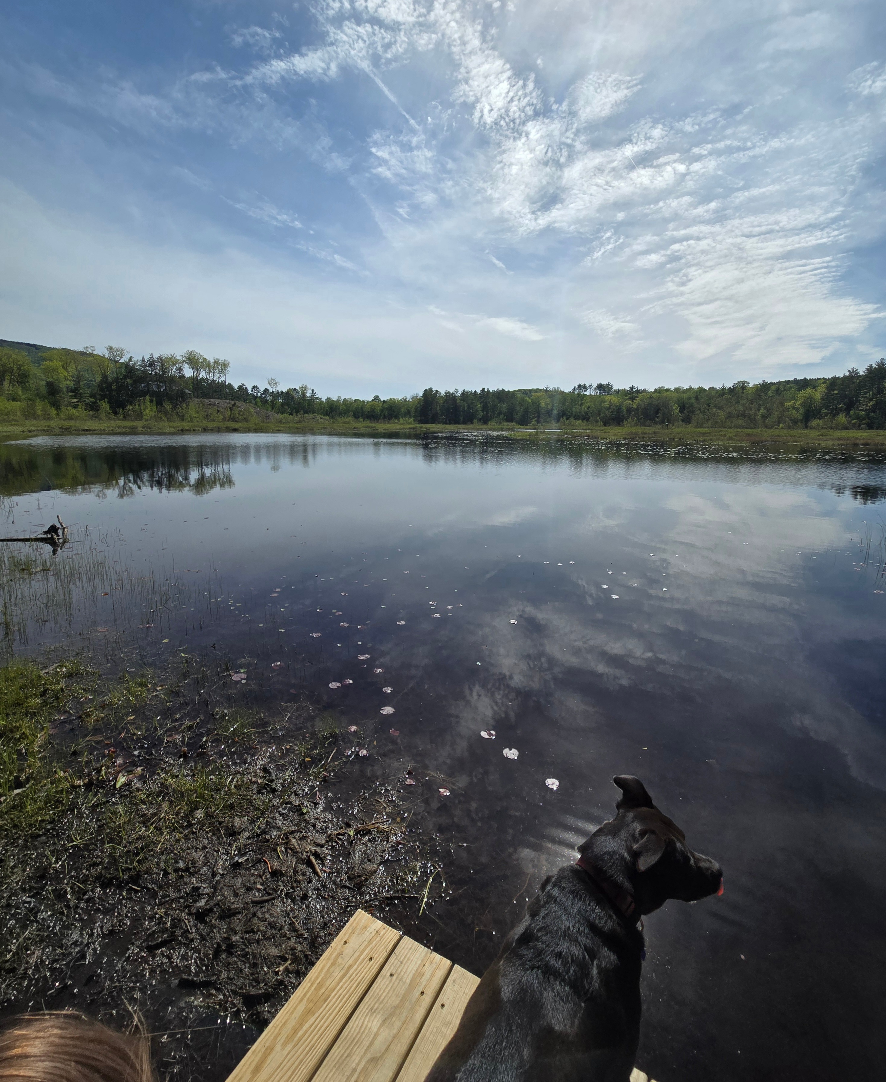View from the dock, with Ragged Mountain to the left 