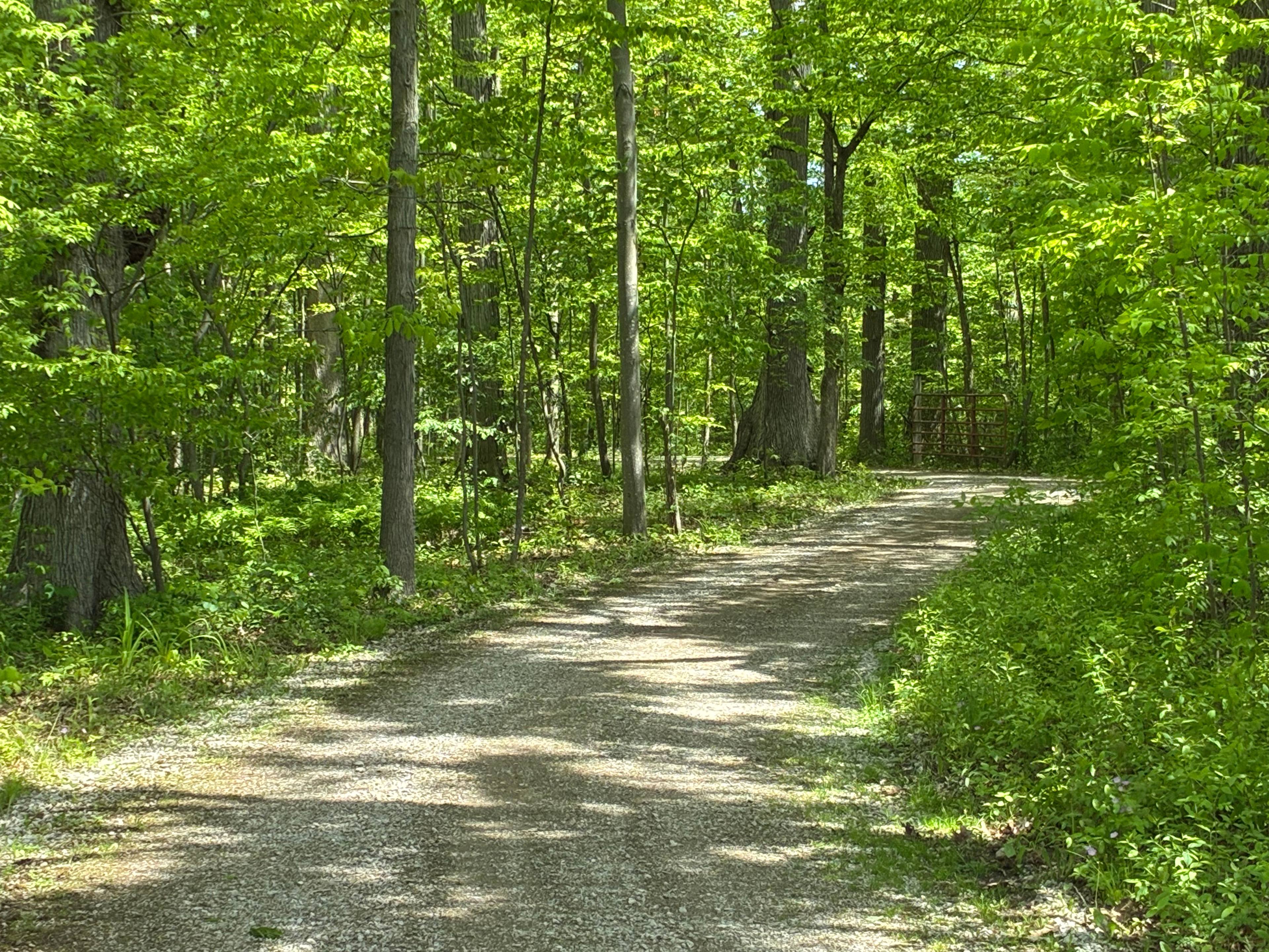 The Schuler Sanctuary