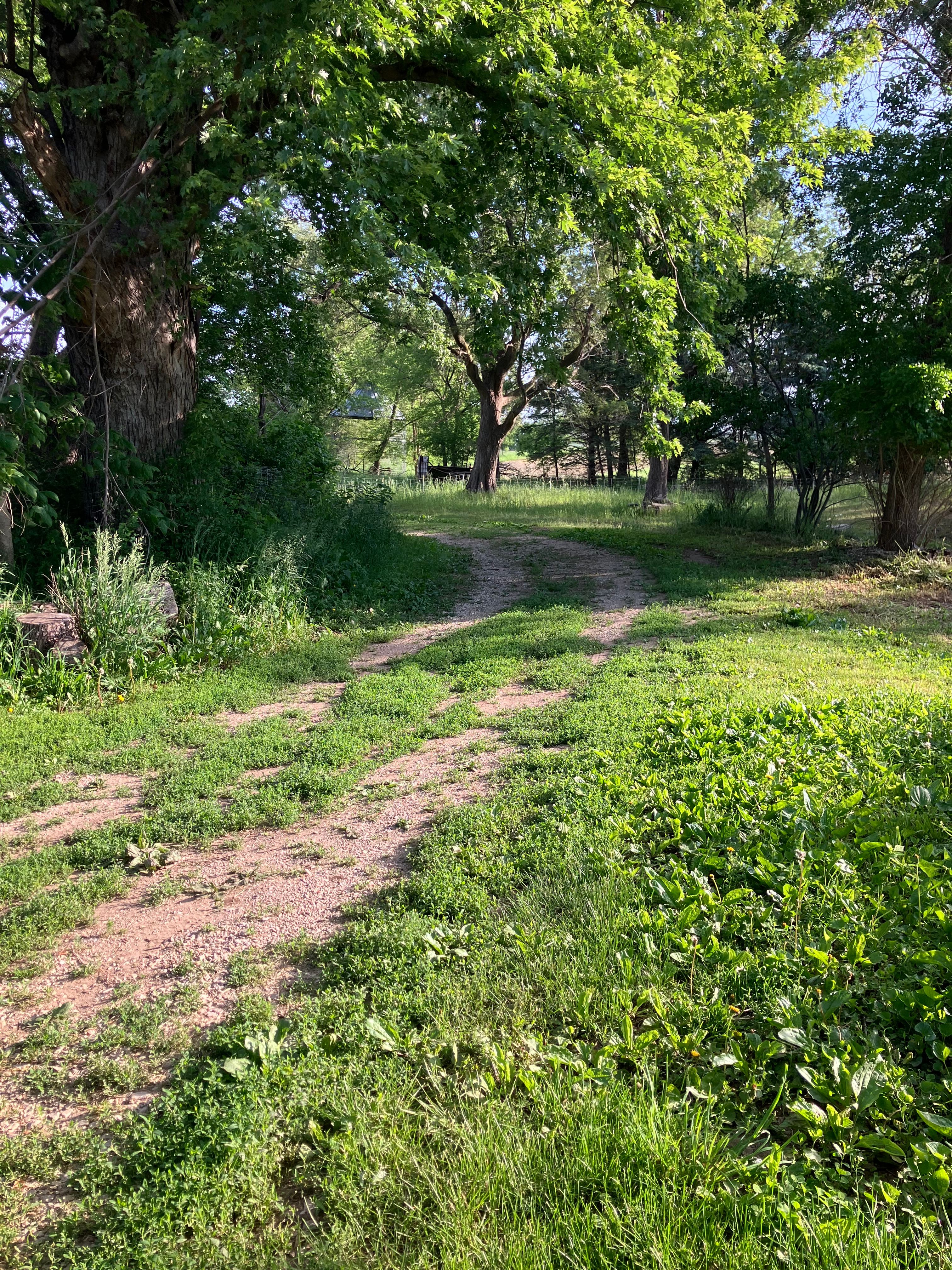 Rolling Acres Farm