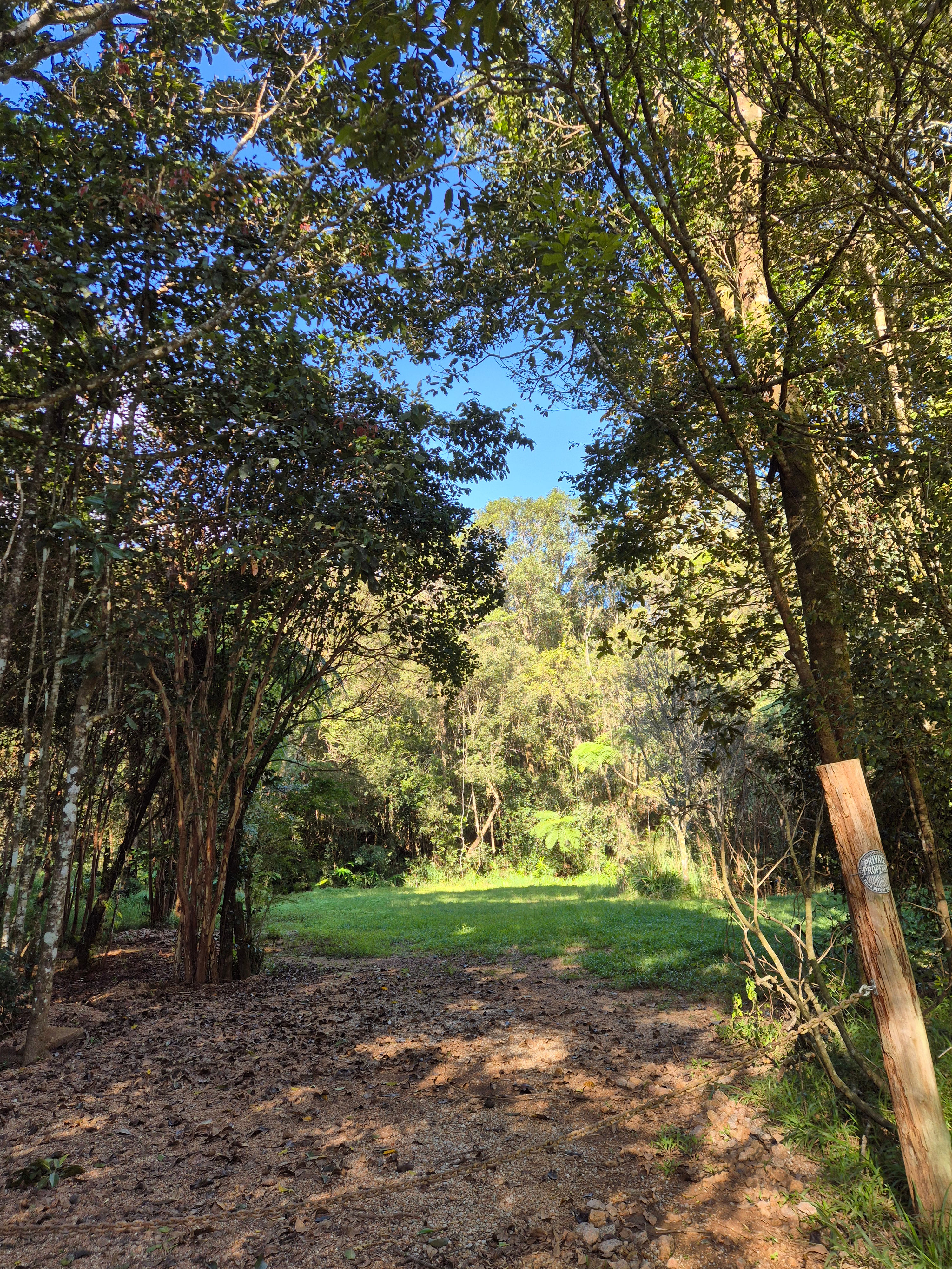 Gilles Creek Clearing