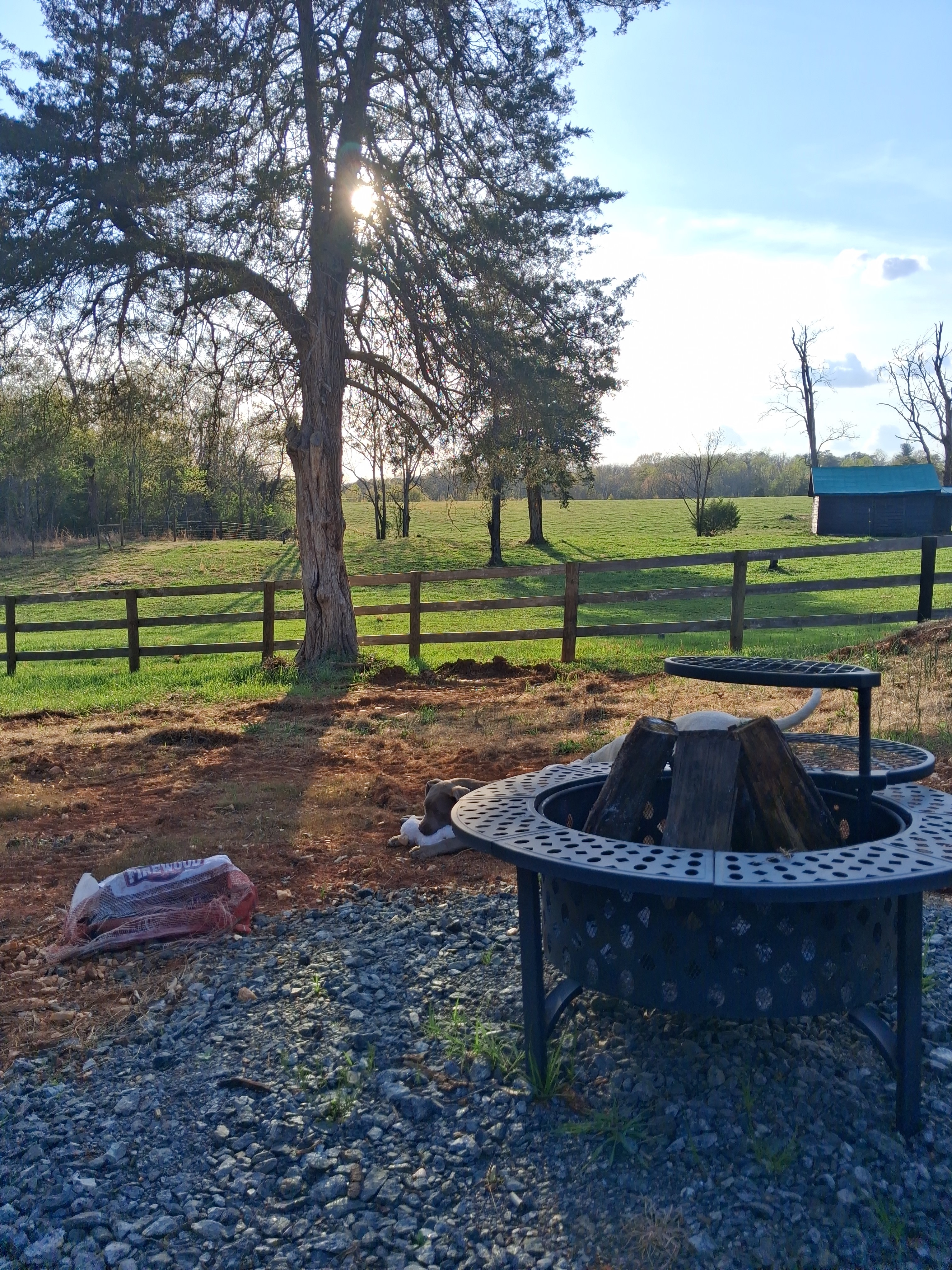 Resting Willow Farm