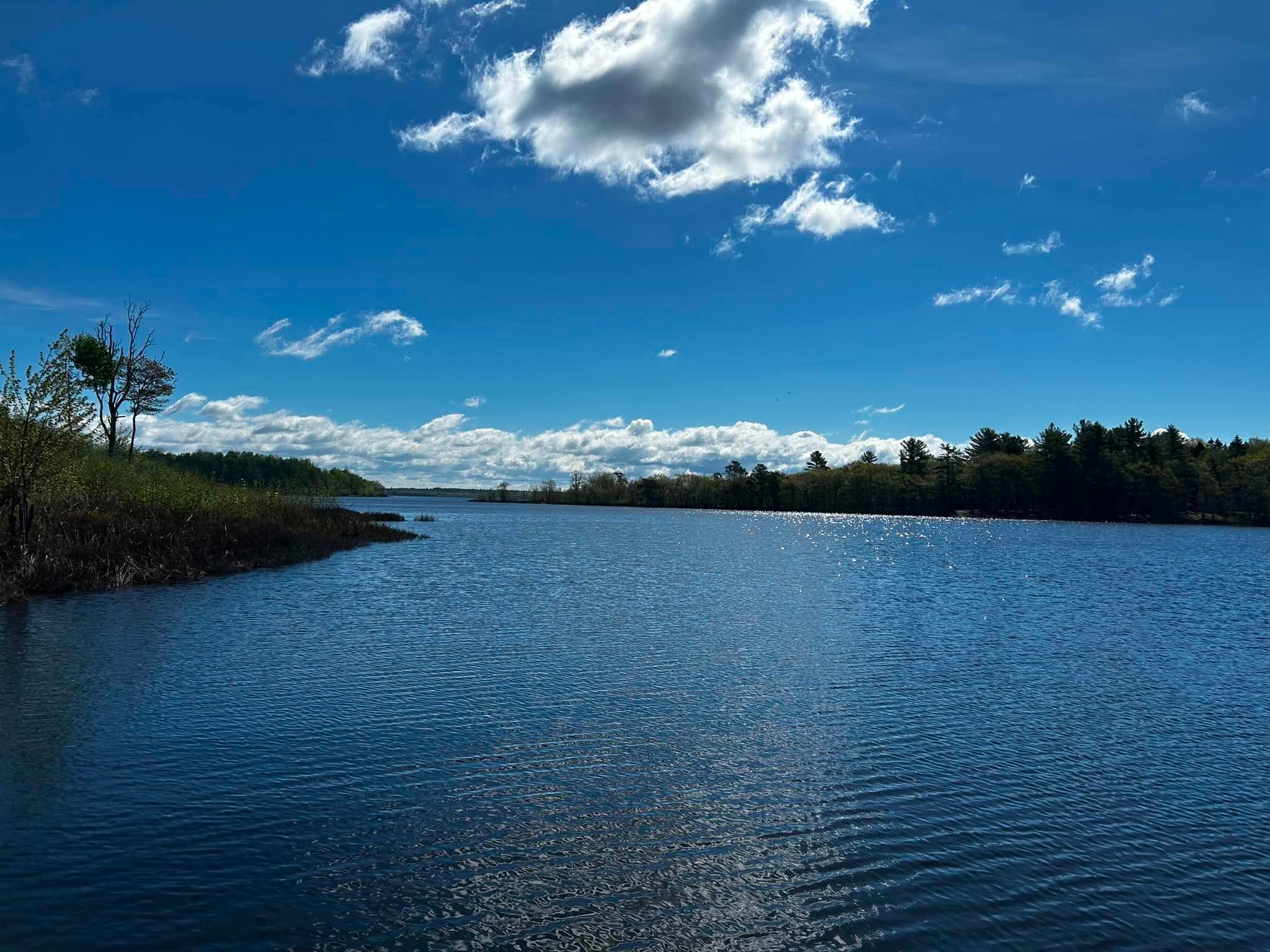 The Lake Lots