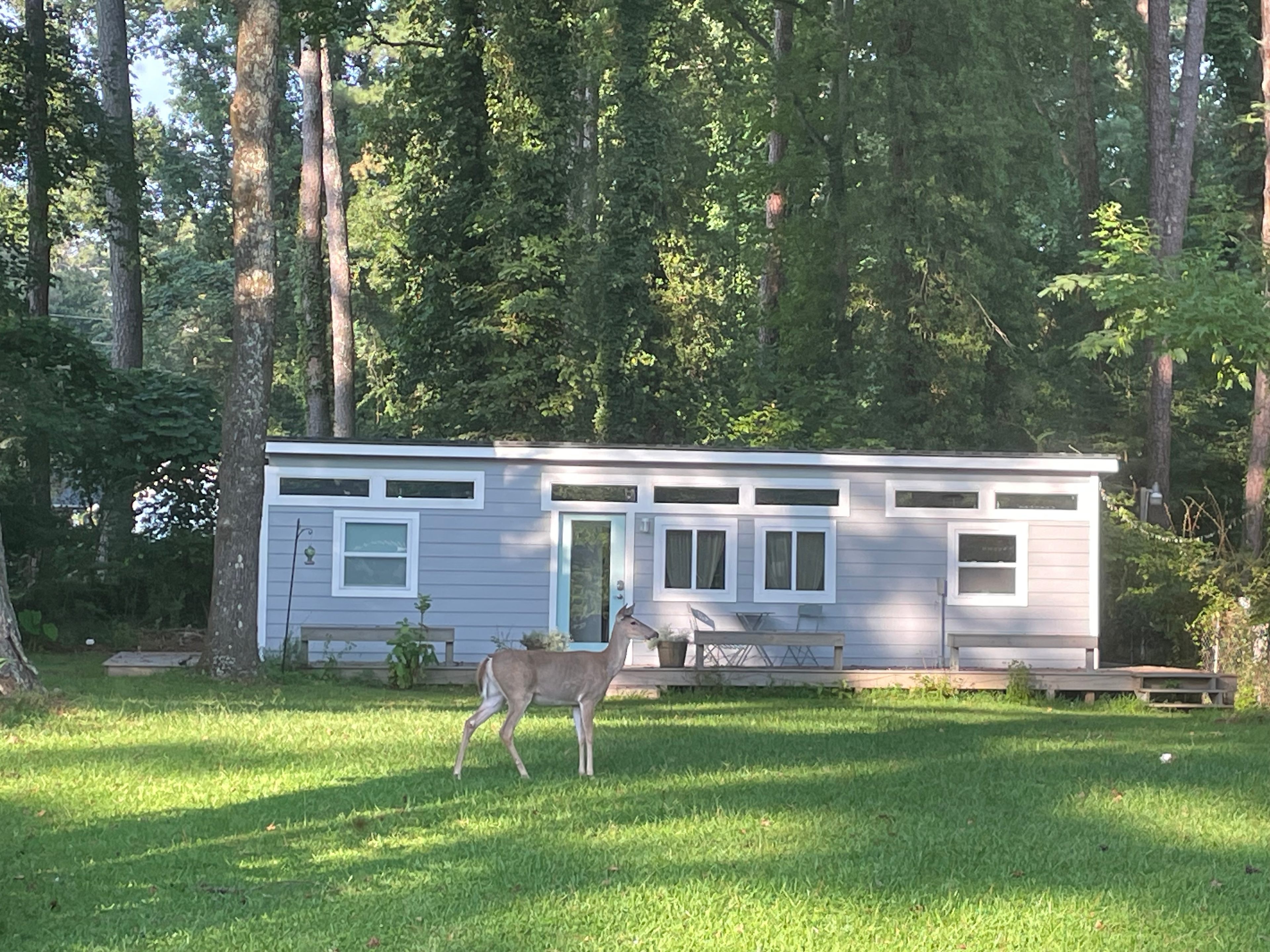 Tiny Shirley-A Great Intown Getaway