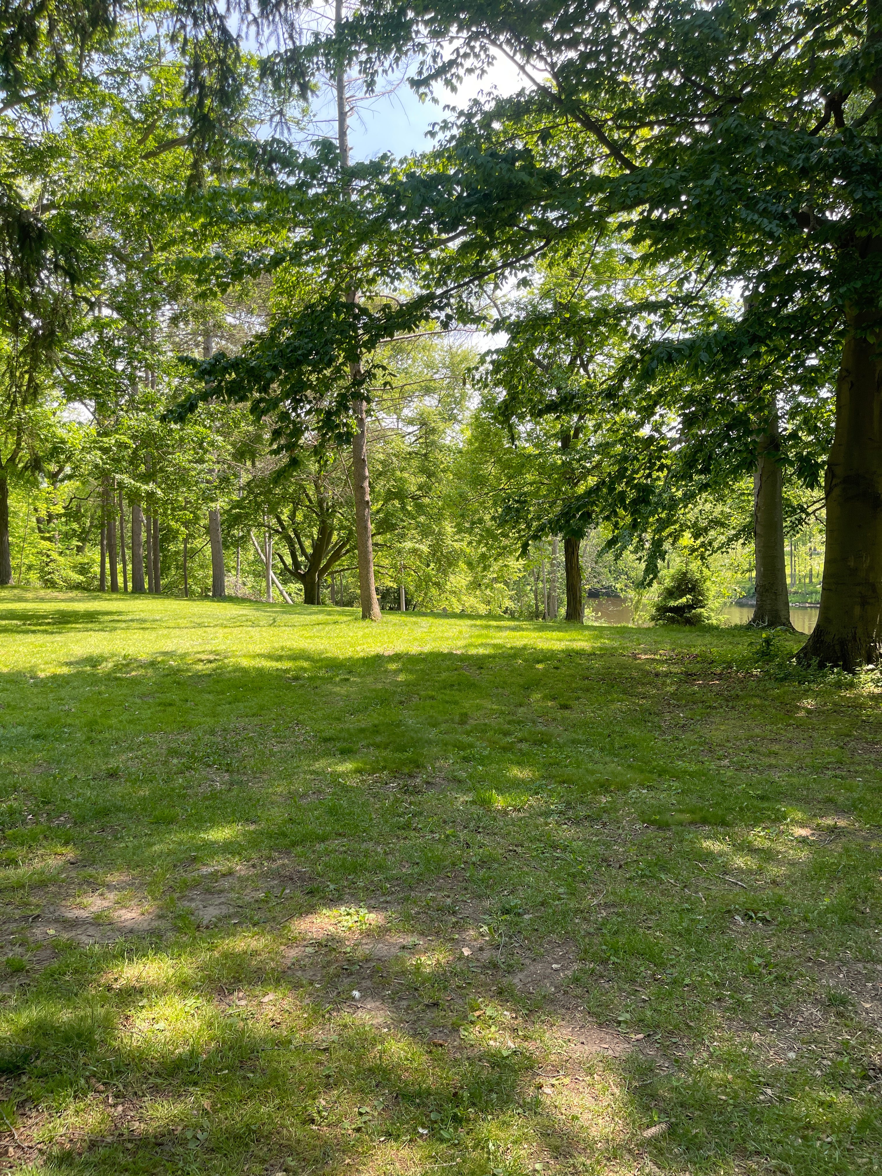 Path to camp site.
