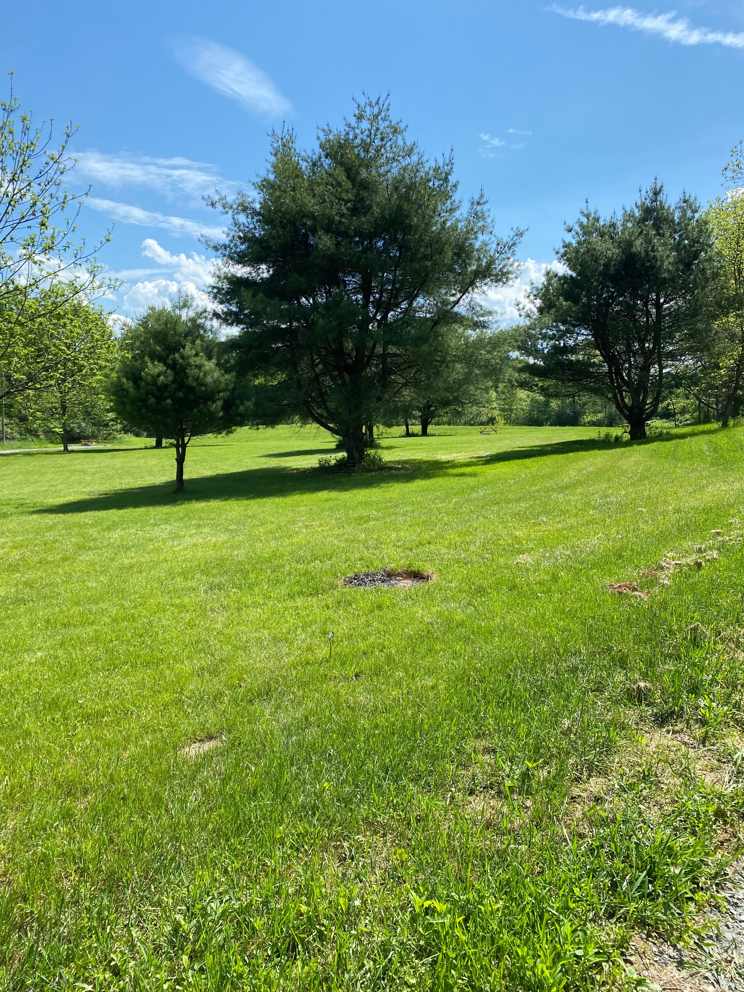 Buffalo Ranch Camping