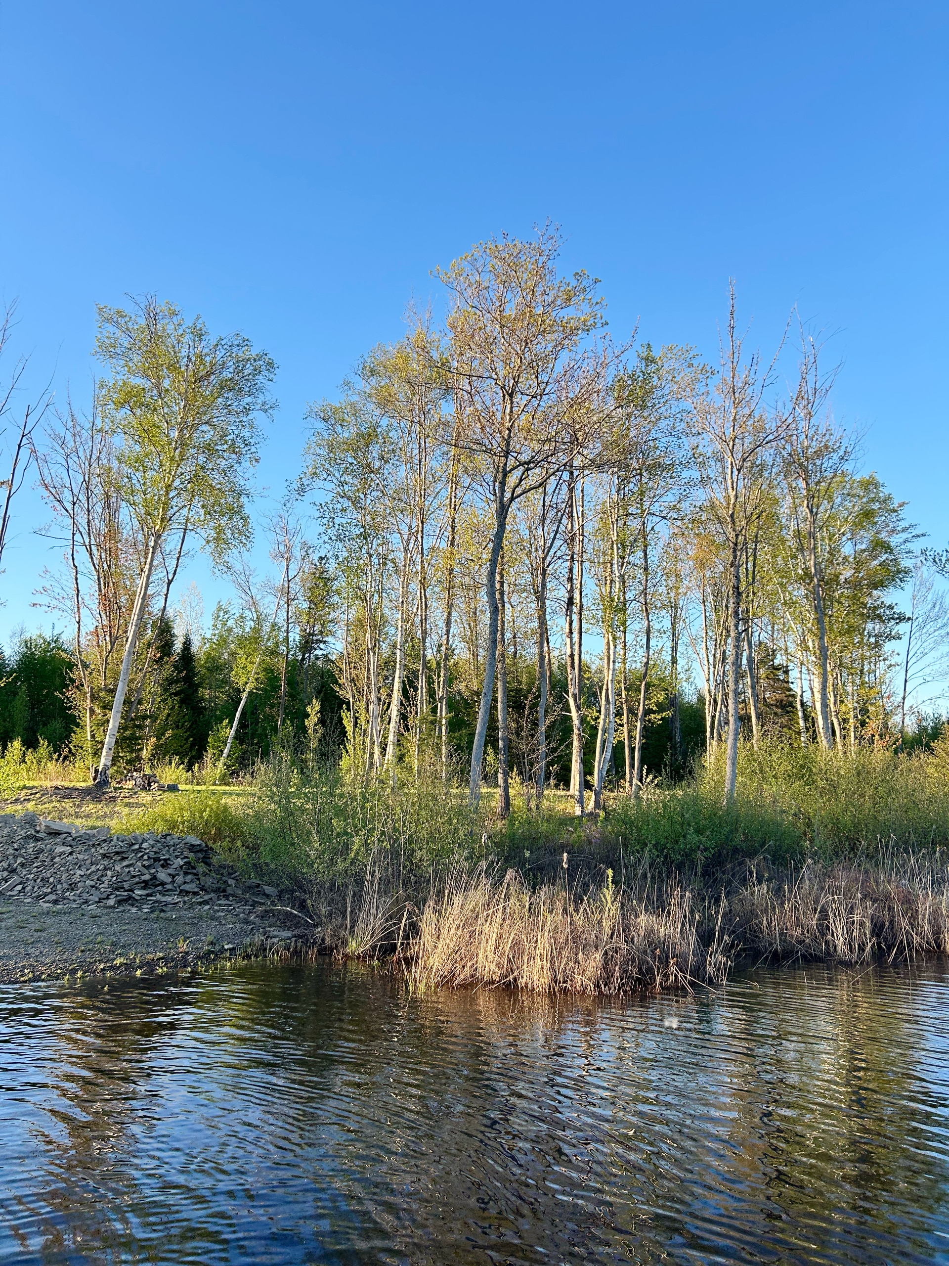 The Lake Lots