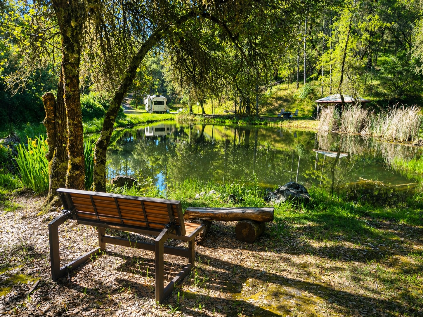 Peaceful Pond Retreat