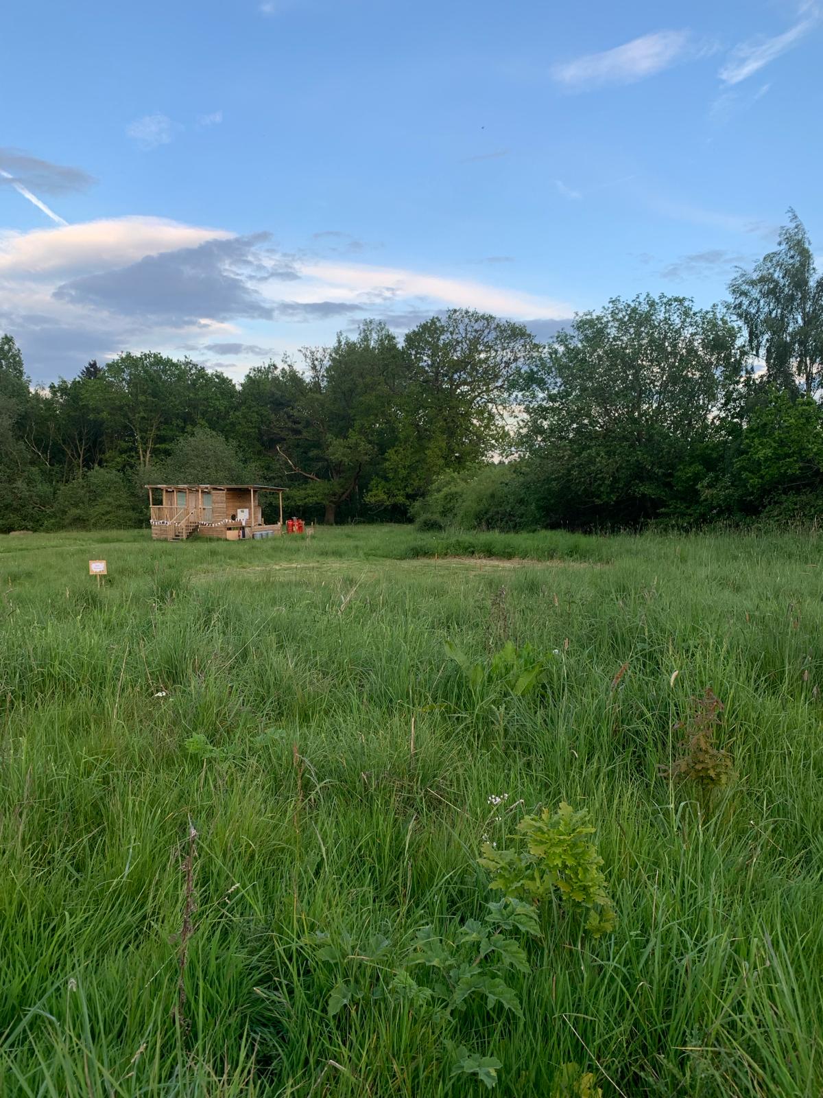 Langley Wilding Campsite