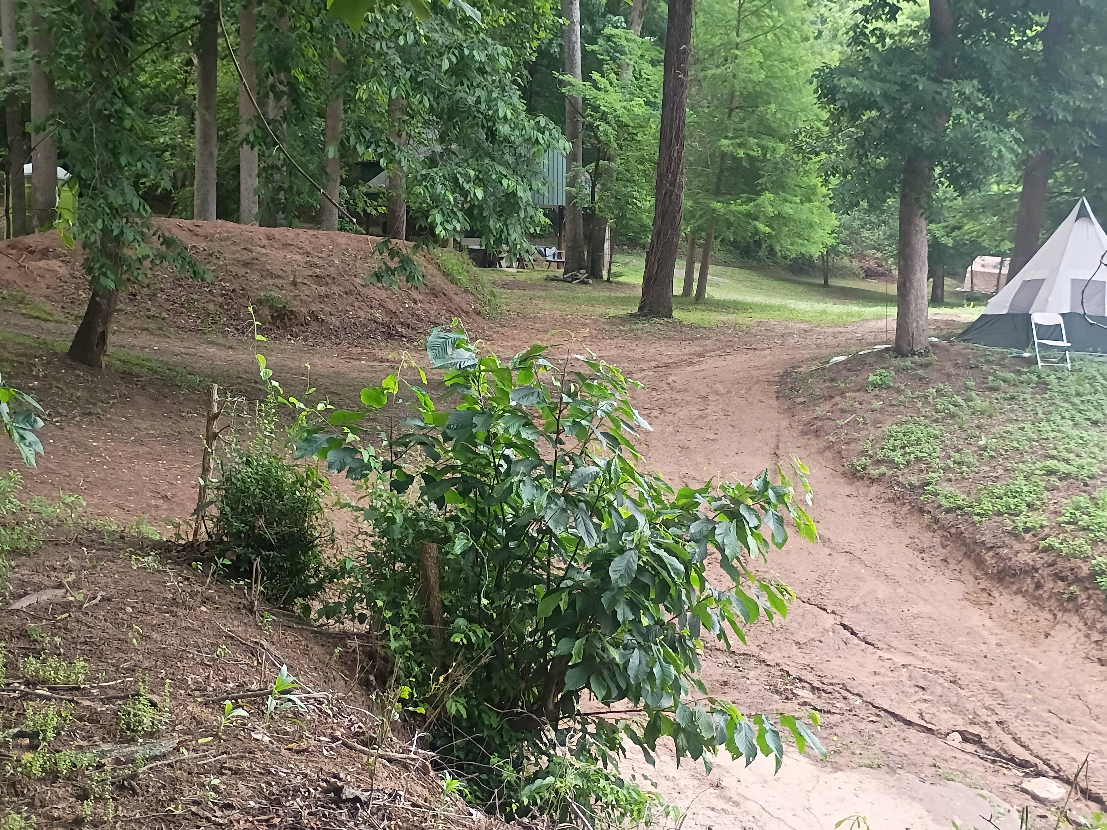Rivers Edge - Primitive Glamping