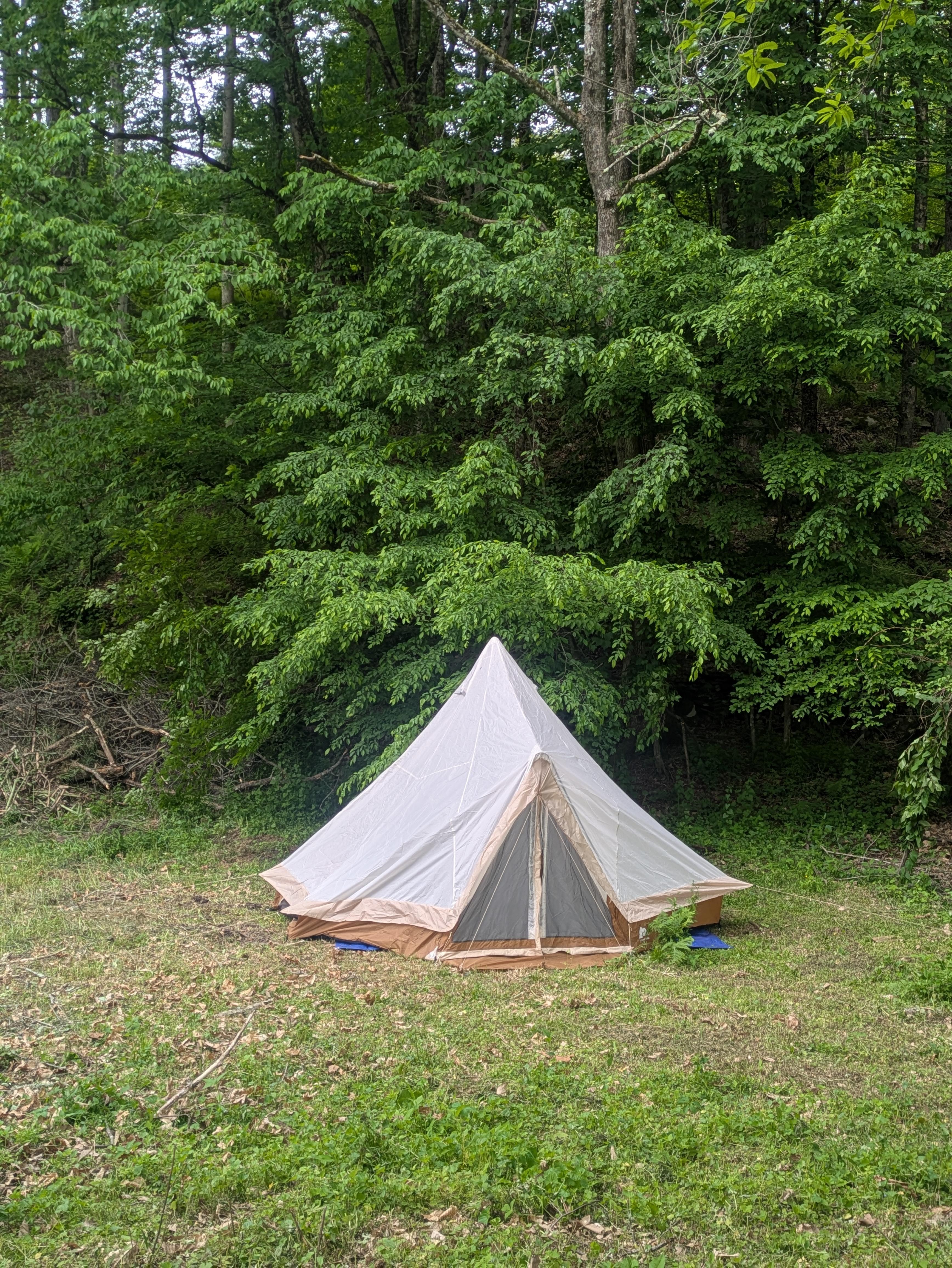 Camp Razoo