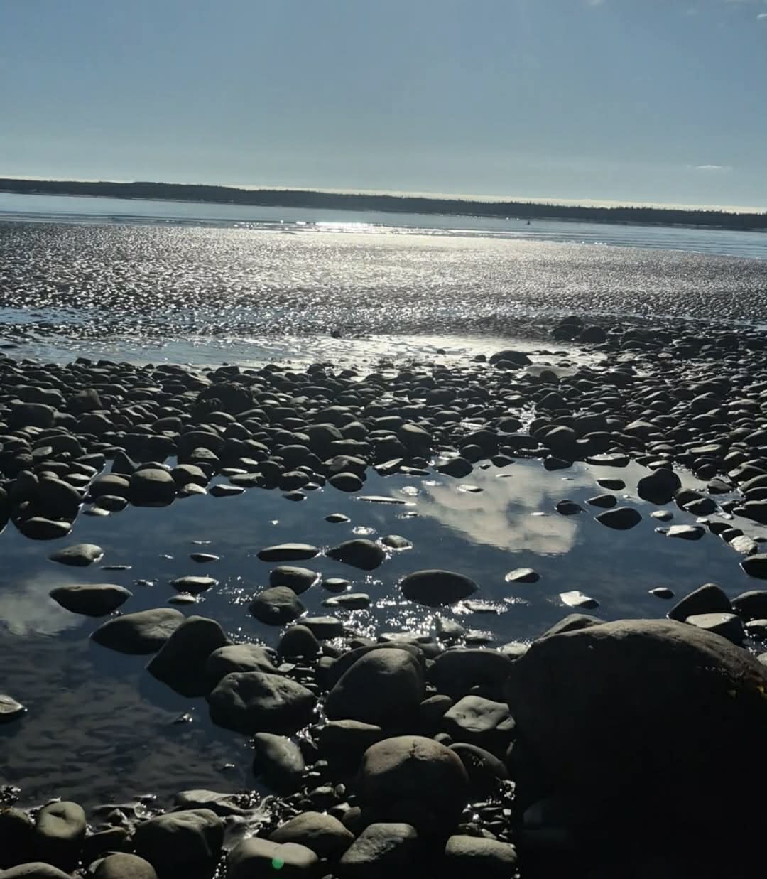 Peaceful Seaside Camping