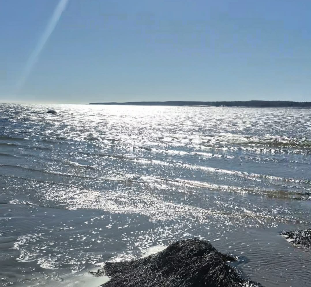 Peaceful Seaside Camping