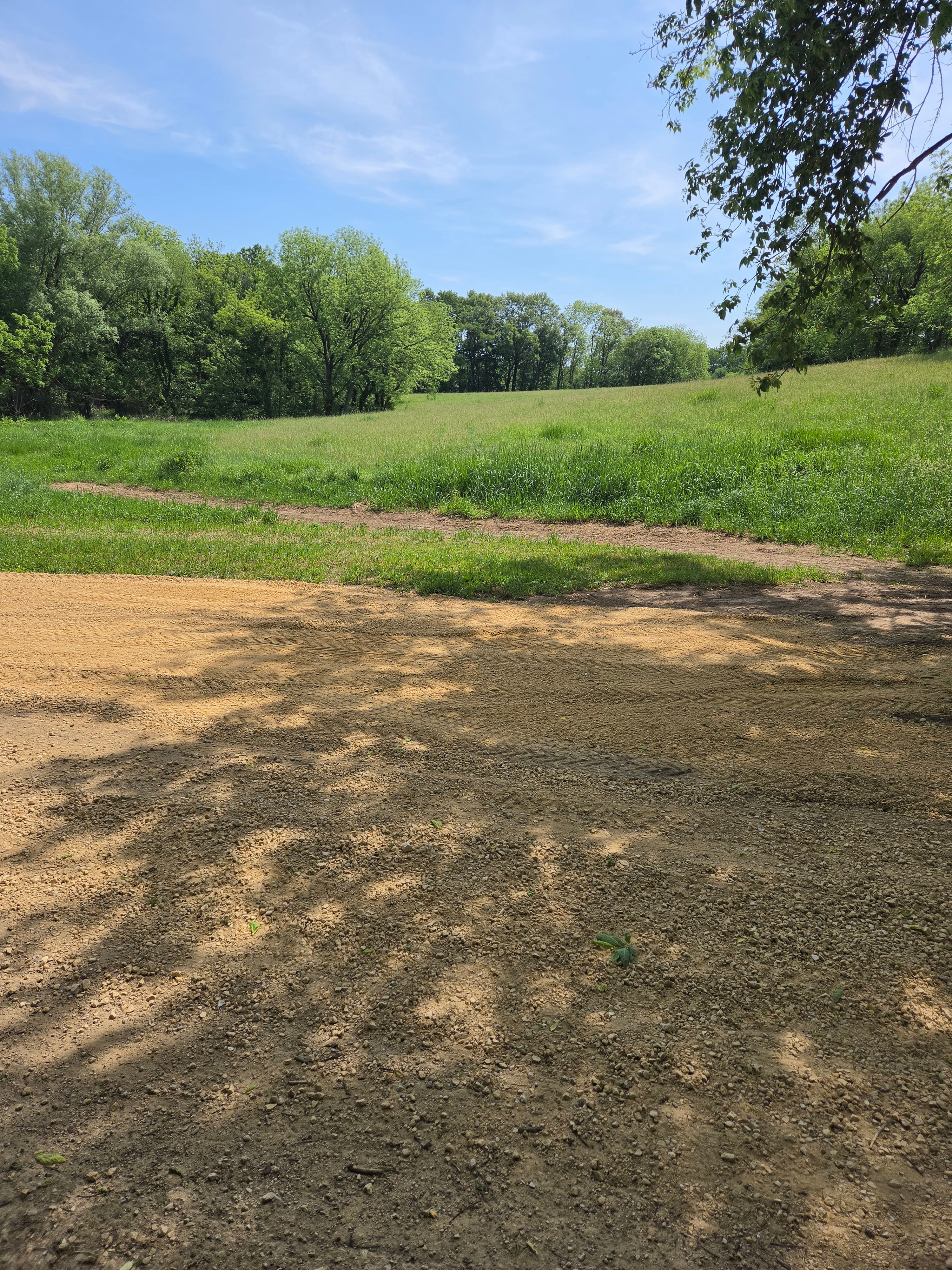 Limestone Bluff