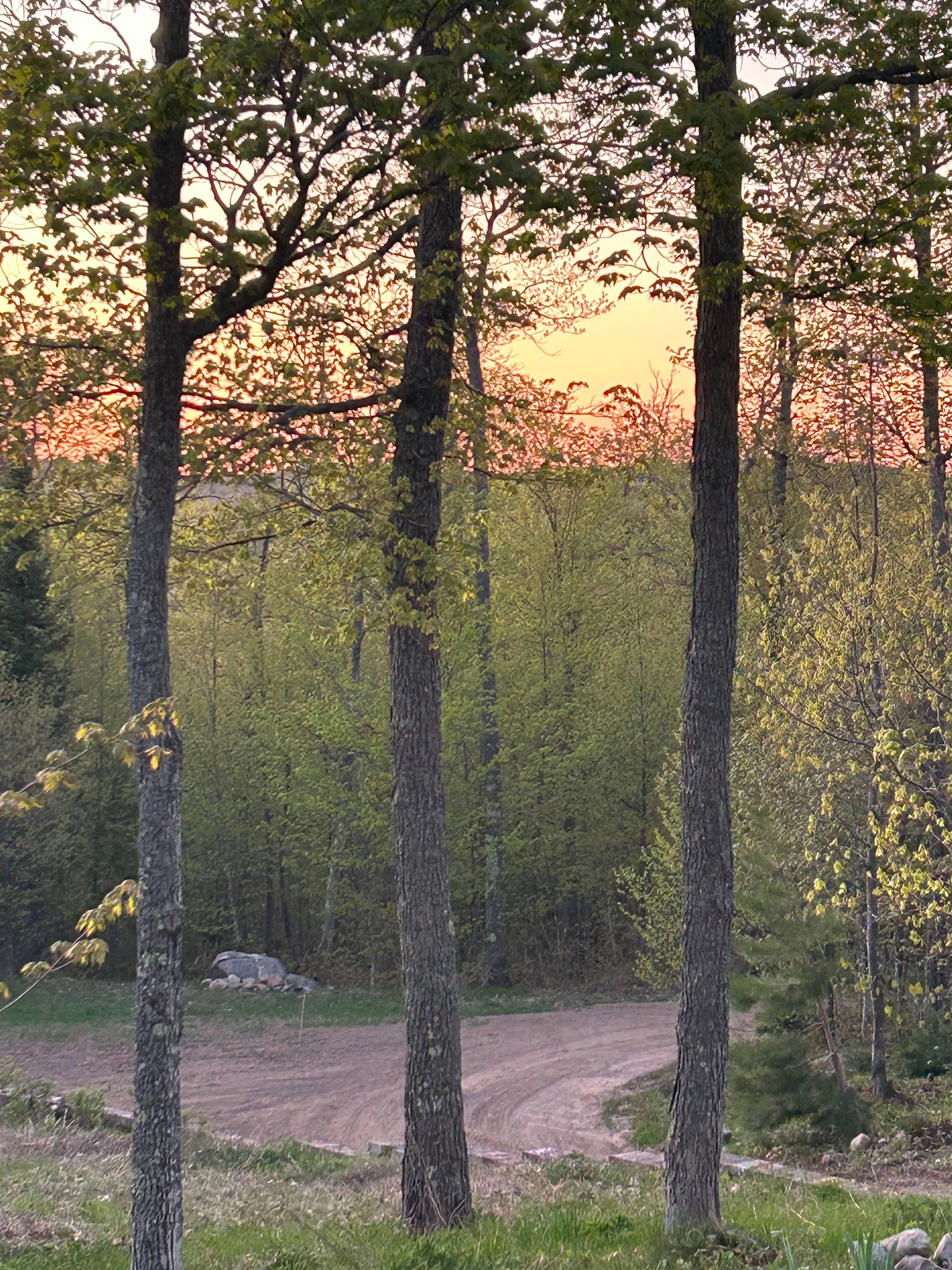 Moonwood Ridge
