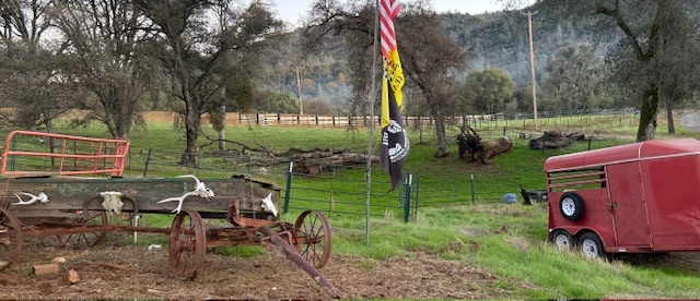 Lefty K Cattle Ranch