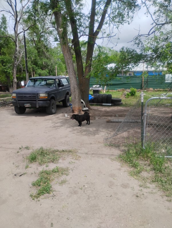 Charlie RV Campsite