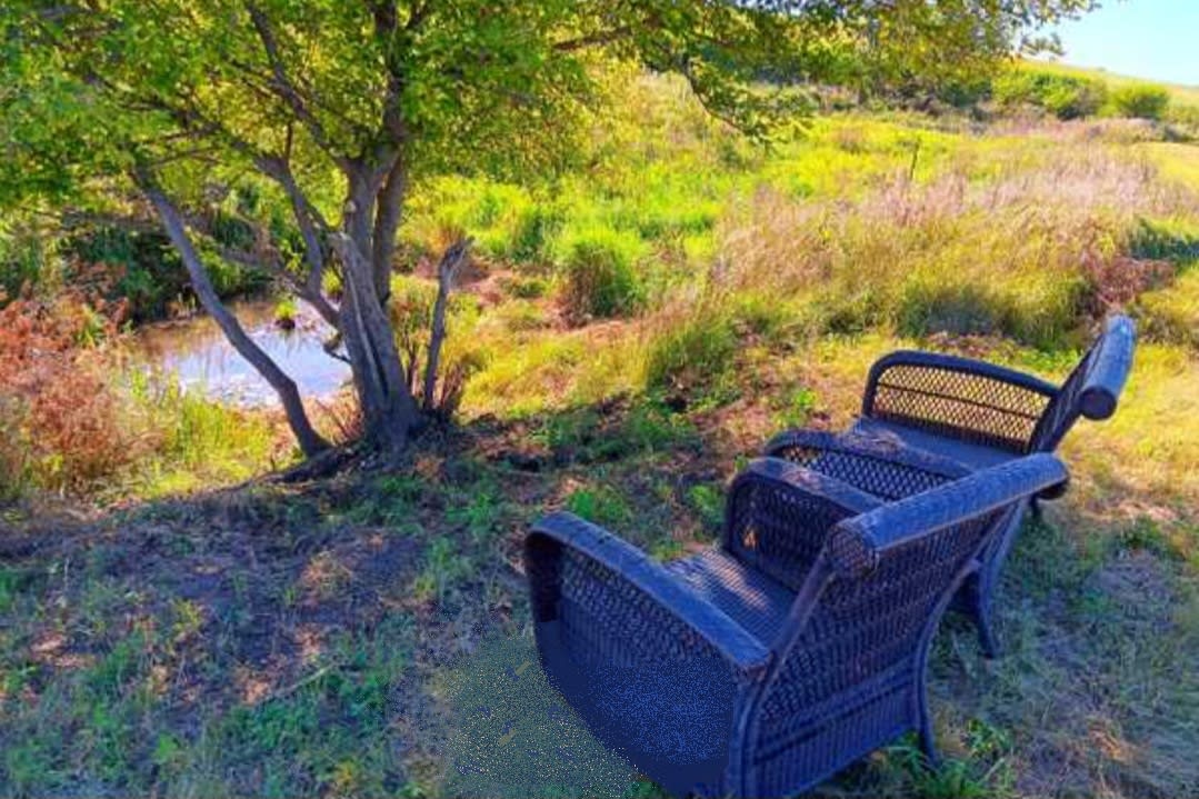 Rock Creek Dog Park & Camp