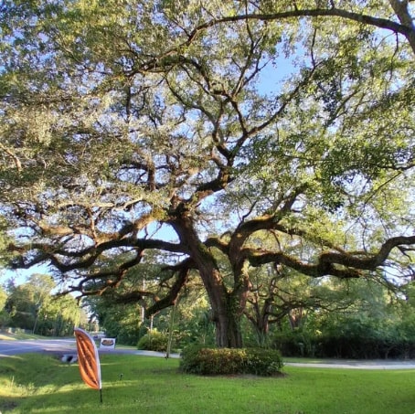 Blackbirds Hideaway Resort & Graceville Campground