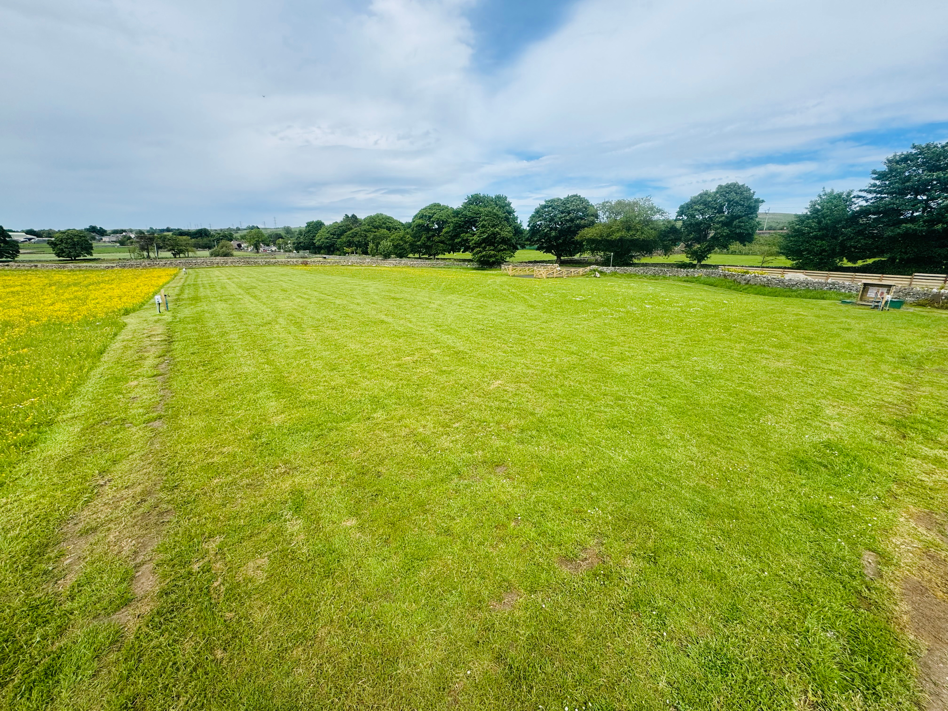 Lea field shap