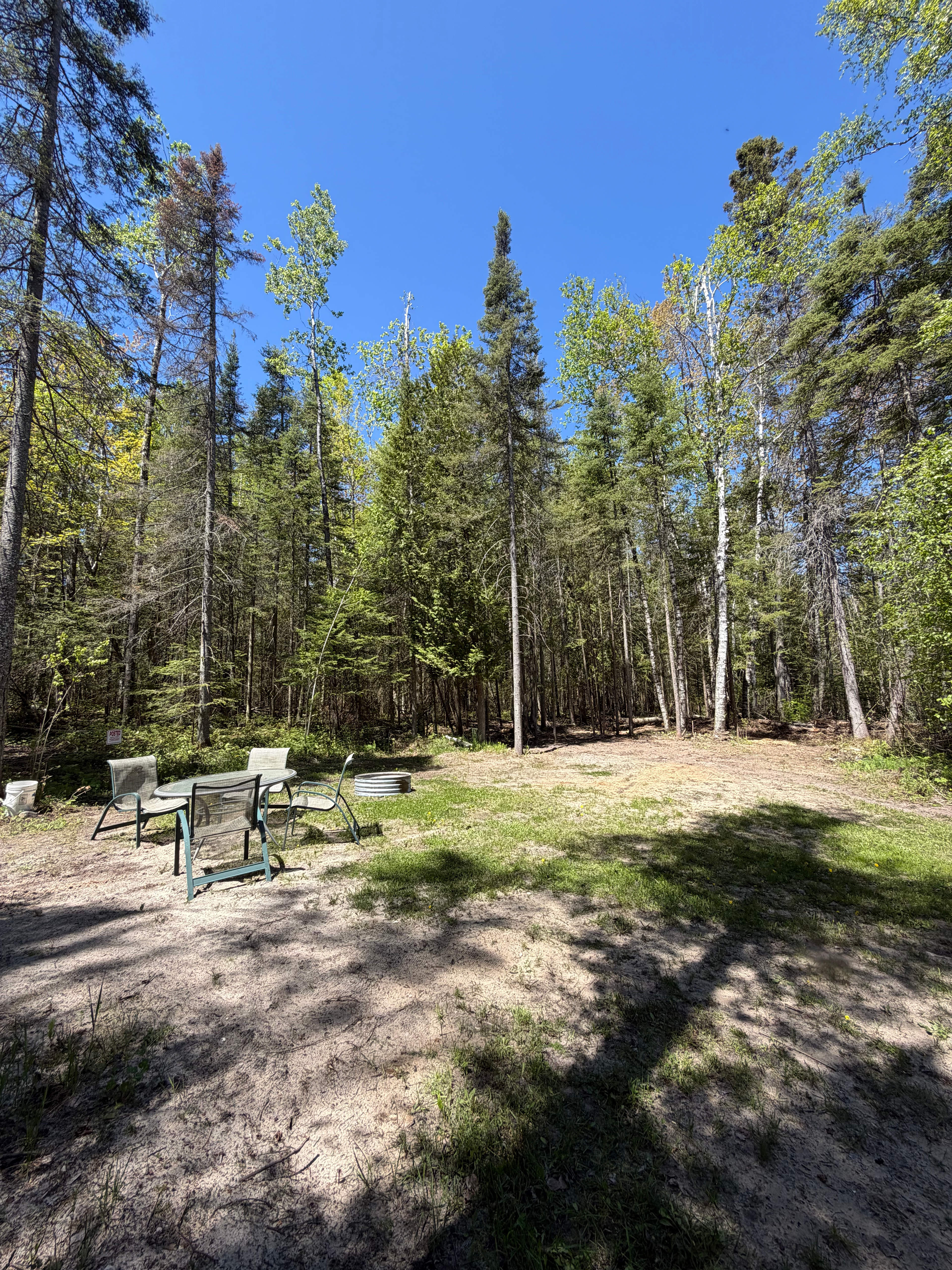 Yoder Woods