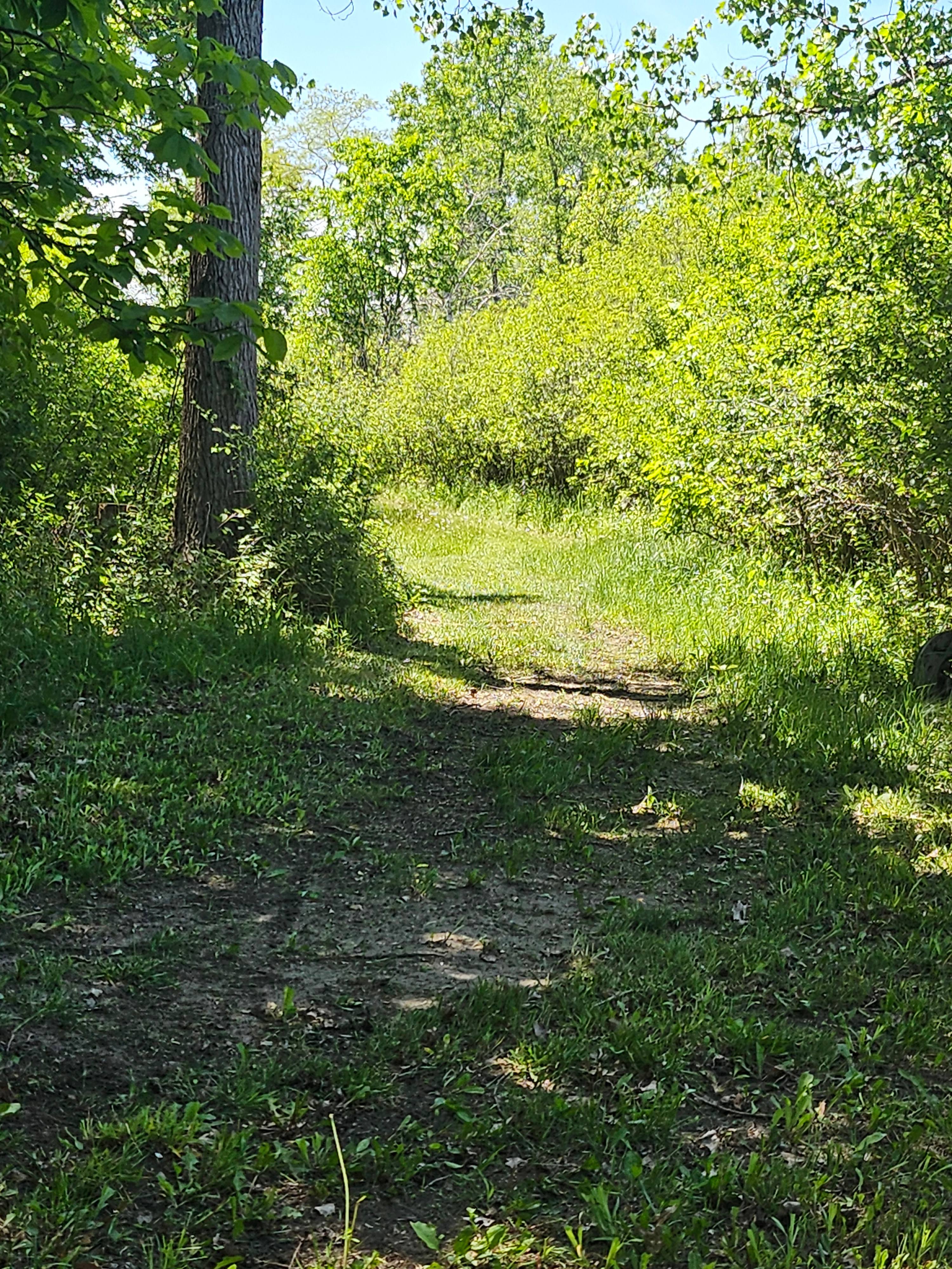 Whitetail Acres @ 9 Point Creek
