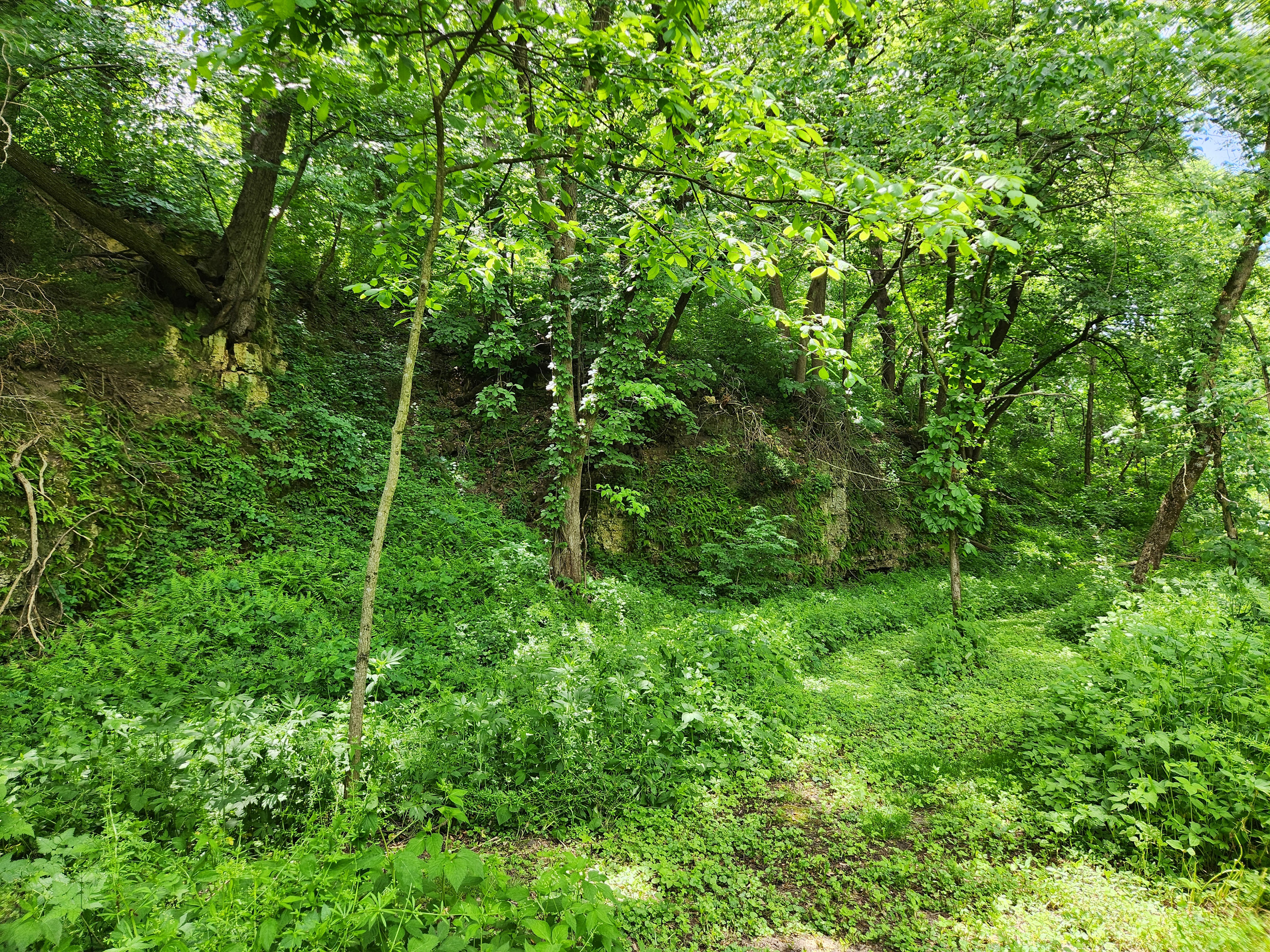 Limestone Bluff
