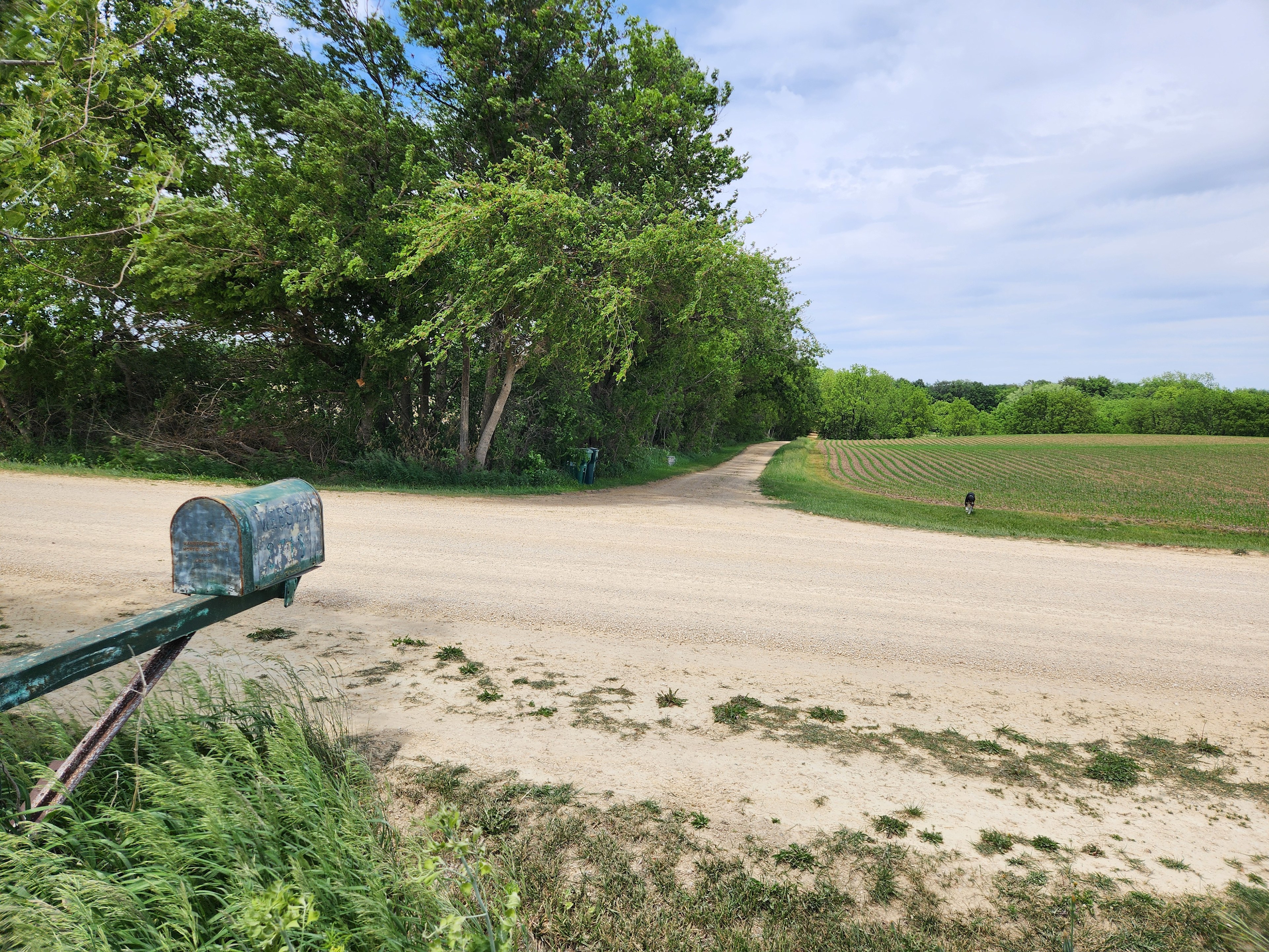 Limestone Bluff