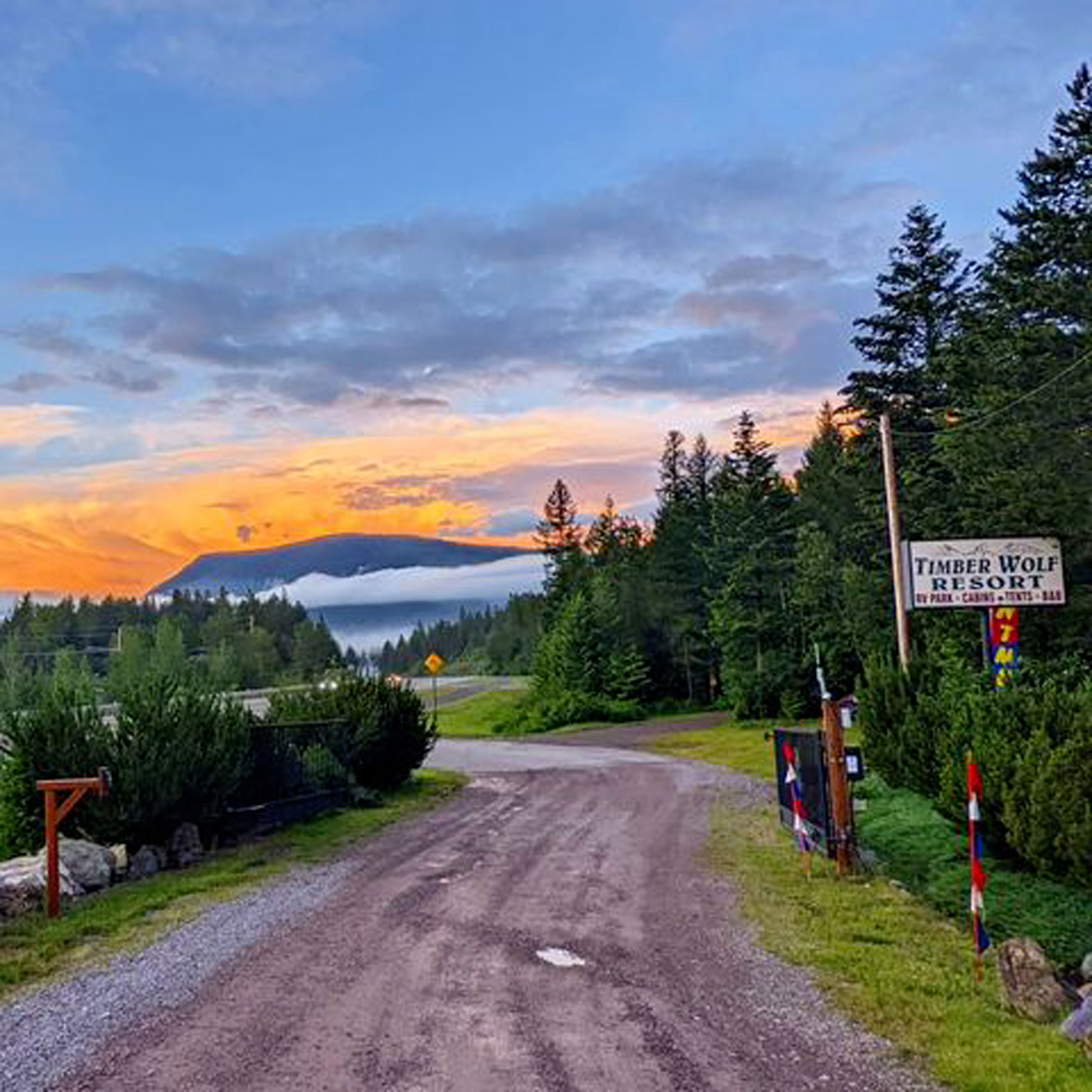 Timber Wolf Resort & Jeep Rentals