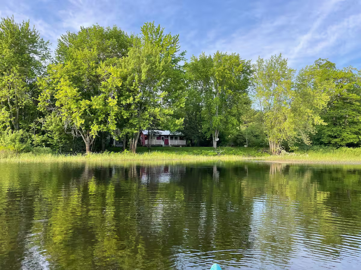 Oasis on the river!