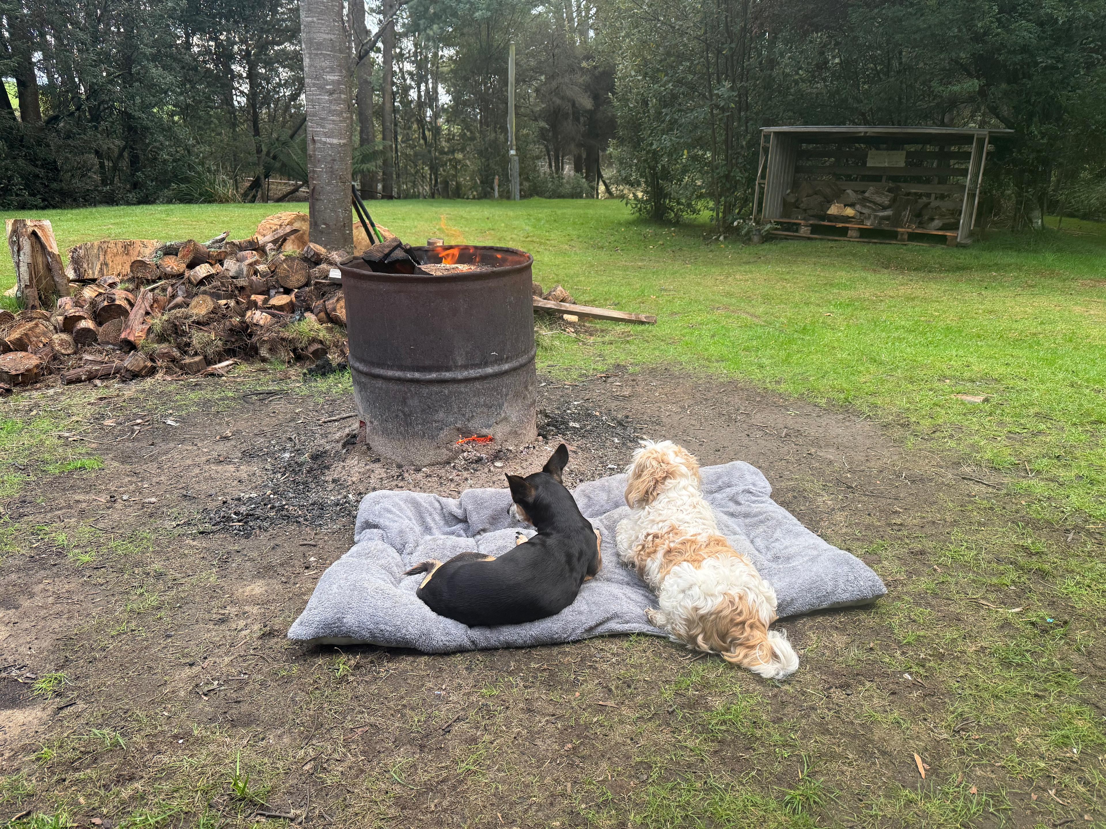 Dragon River Campground & Sauna