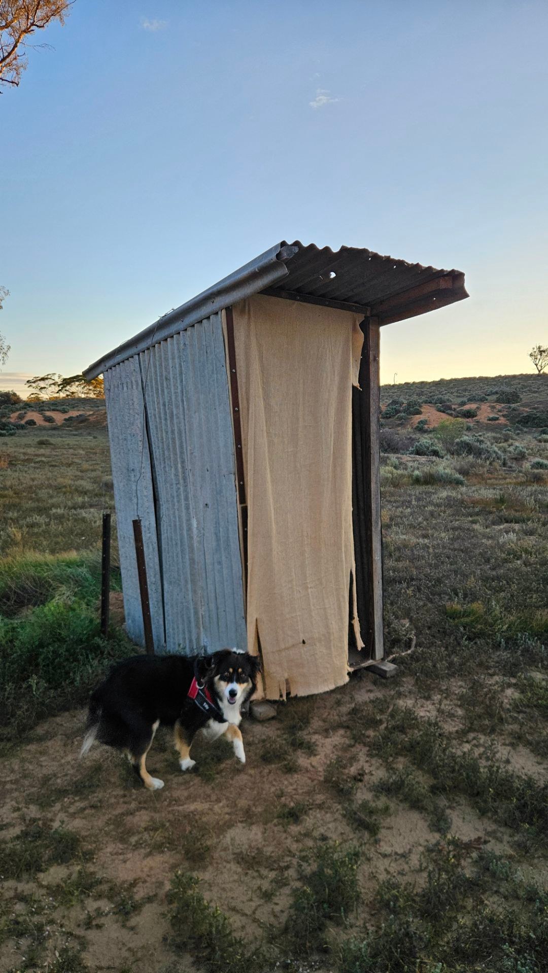 Burra Creek Camping