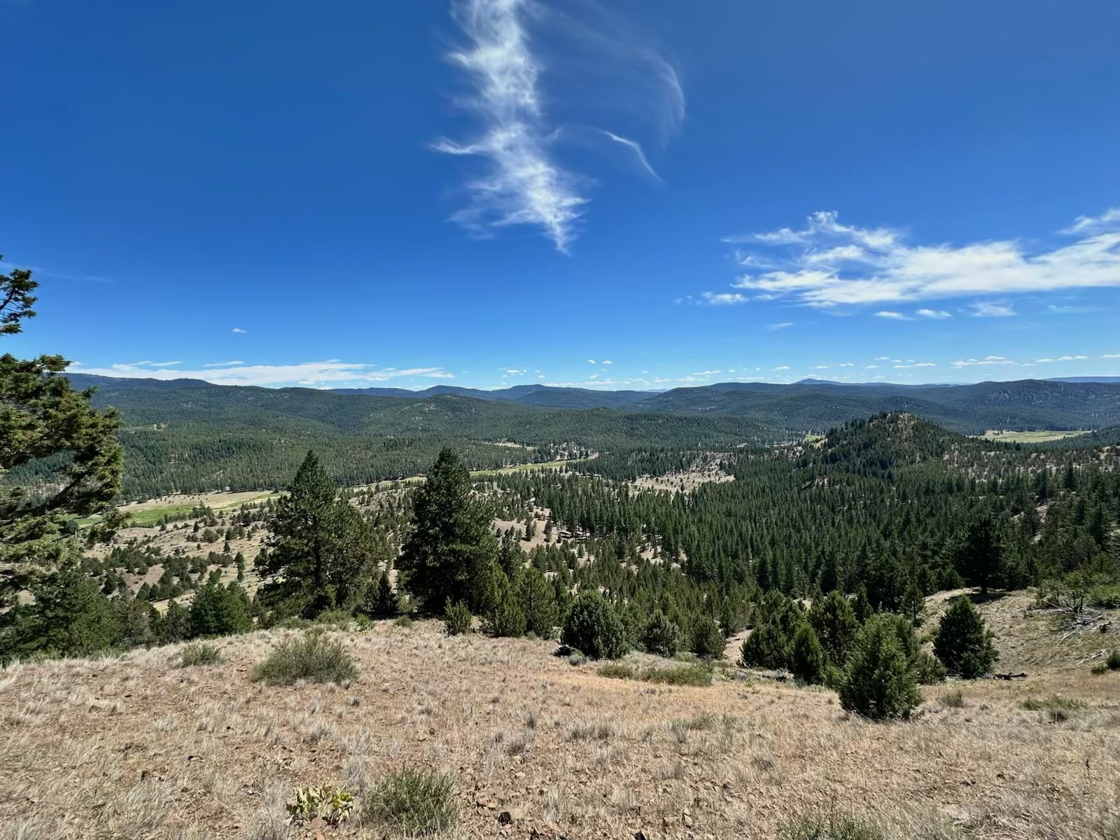 Horseman's Haven Ranch & Mtn Camp