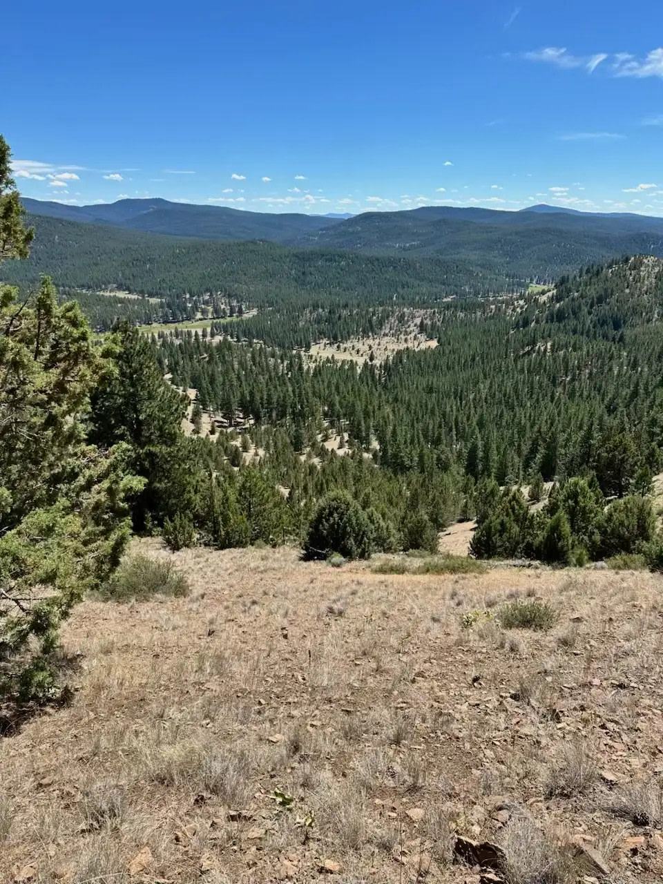 Horseman's Haven Ranch & Mtn Camp