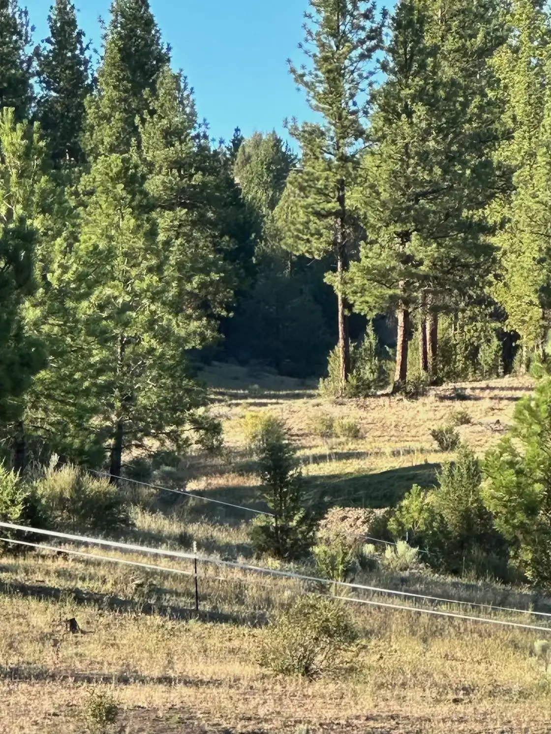 Horseman's Haven Ranch & Mtn Camp